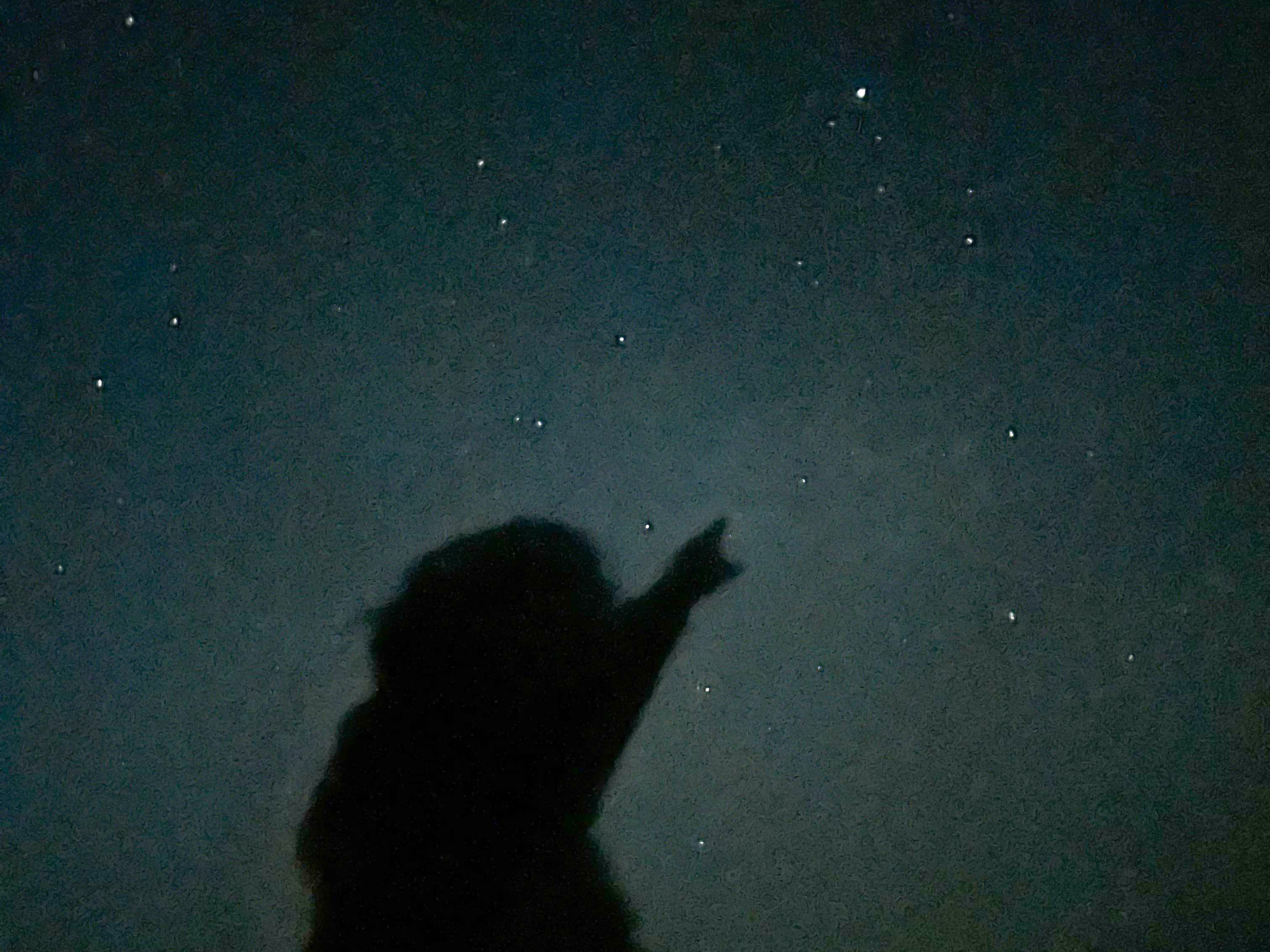 An amateur astronomer points in the direction of a celestial object under exceptionally dark skies at Cherry Springs State Park in northern Pennsylvania earlier this month. (Wassana Laisukang)