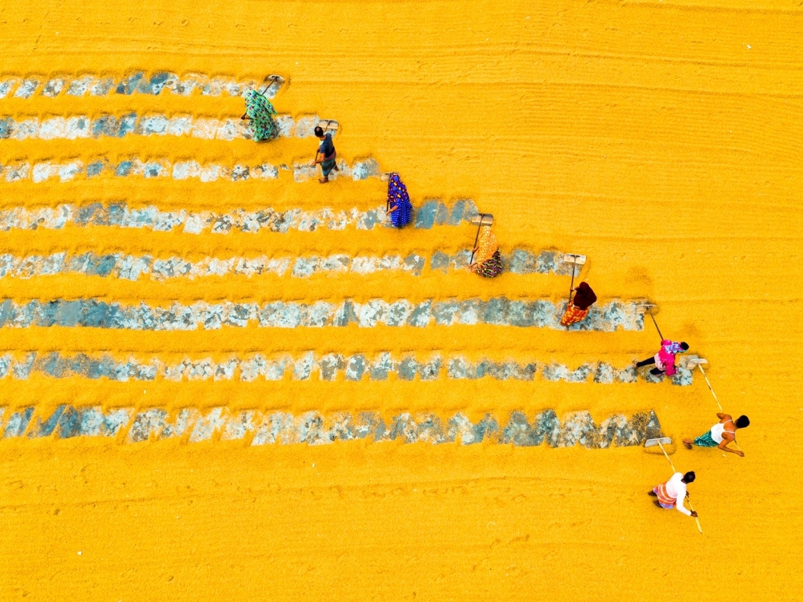 Drone Photo Award winners capture the extraordinary beauty of the ordinary