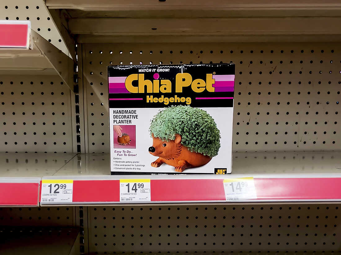 The marketing whiz behind chia pets and their iconic commercials has died