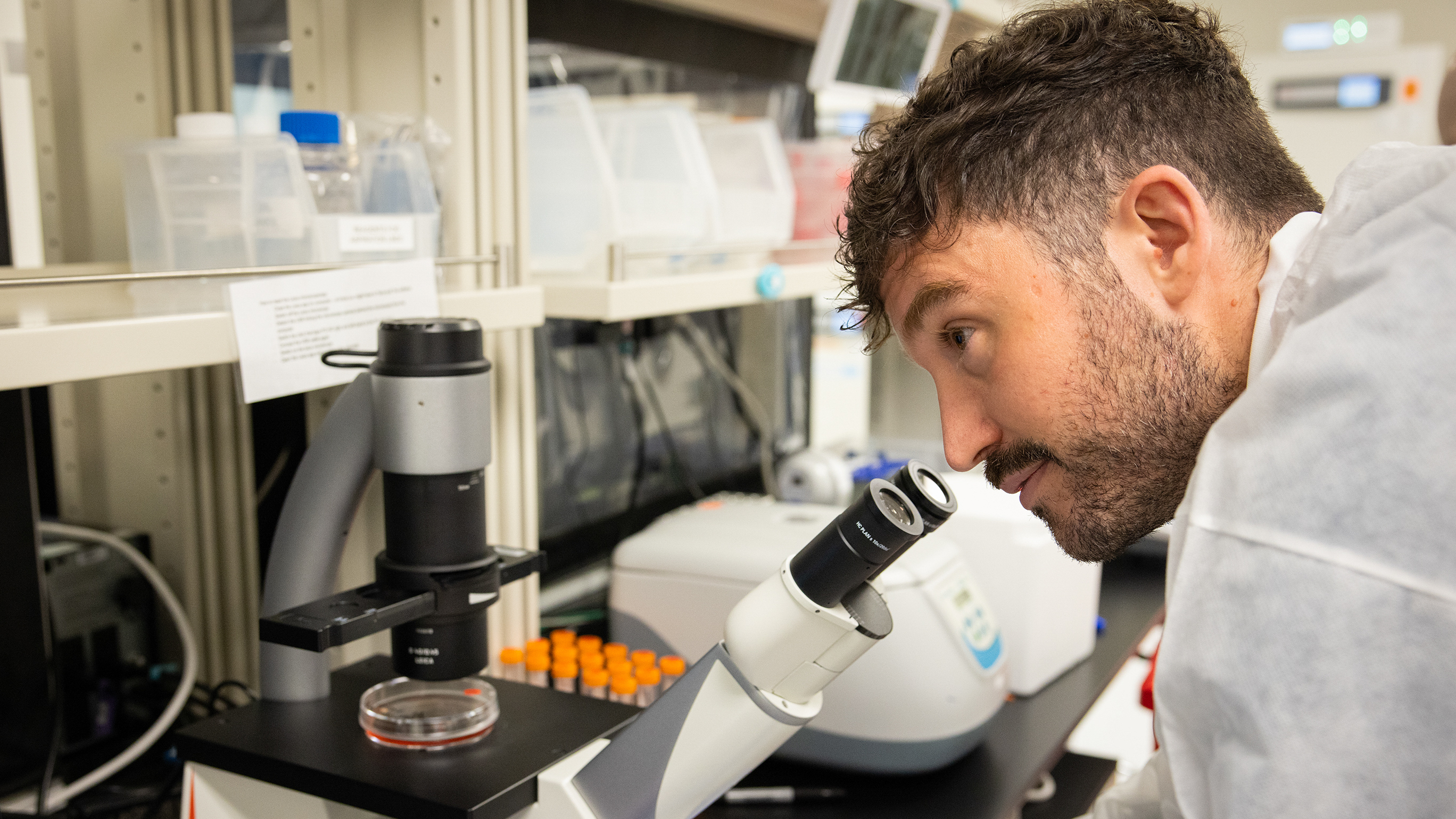 New Research Could Change the Landscape of Human Reproduction