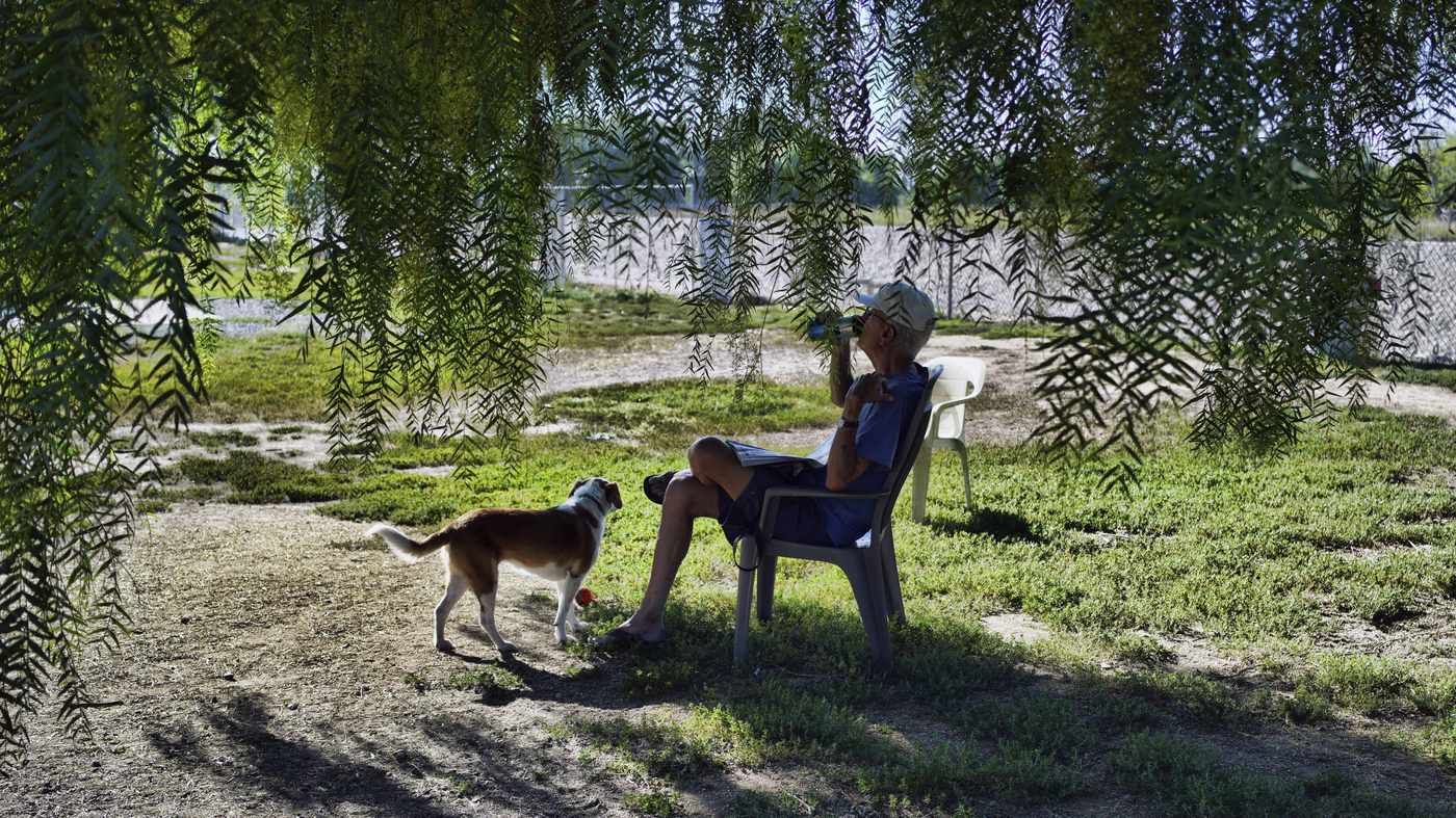 How to keep pets safe in the heat NPR