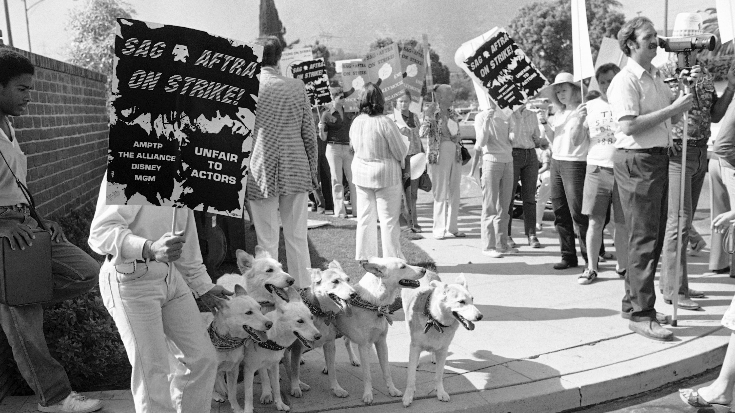Dogs trained for movie roles get ready to march in a SAG picket line around Disney Studios in Los Angeles on Aug. 21, 1980.