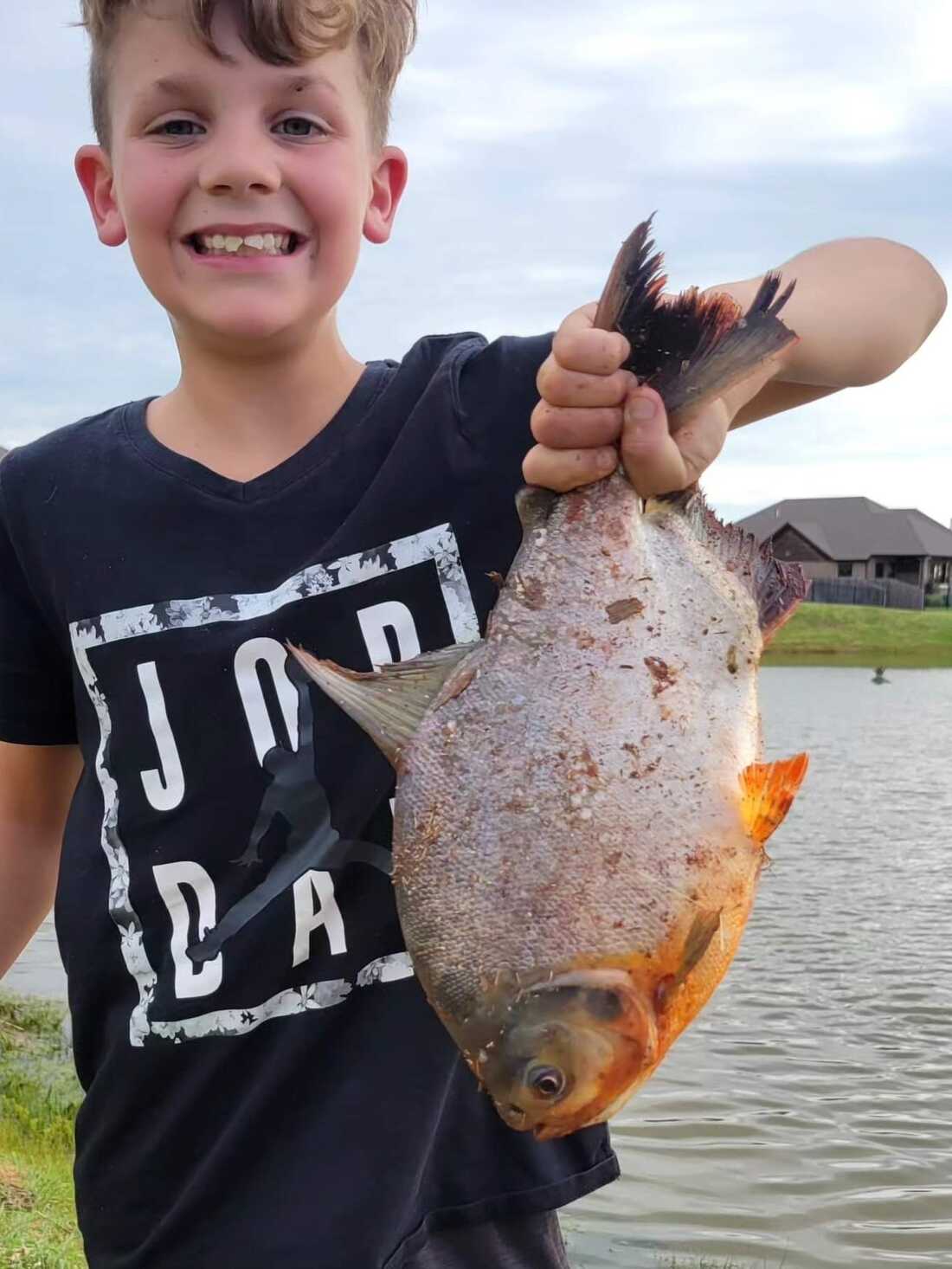 Giant Mother bass  Catching fish, Fish, Freshwater fish