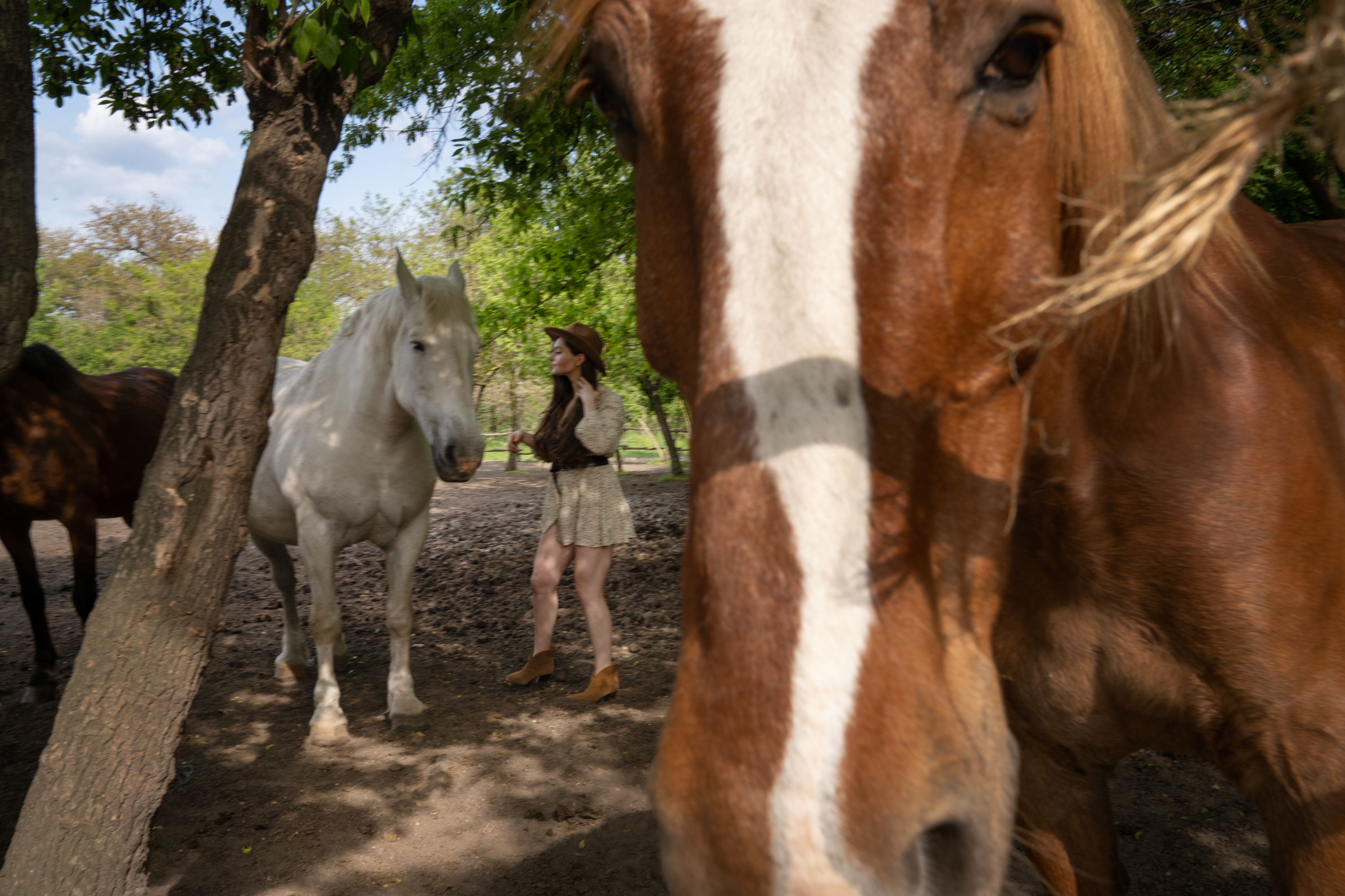 The Cossacks' traditions live on near the front lines in Ukraine 8 A visitor approaches some of the horses at the farm on Khortytsia to take a photo.