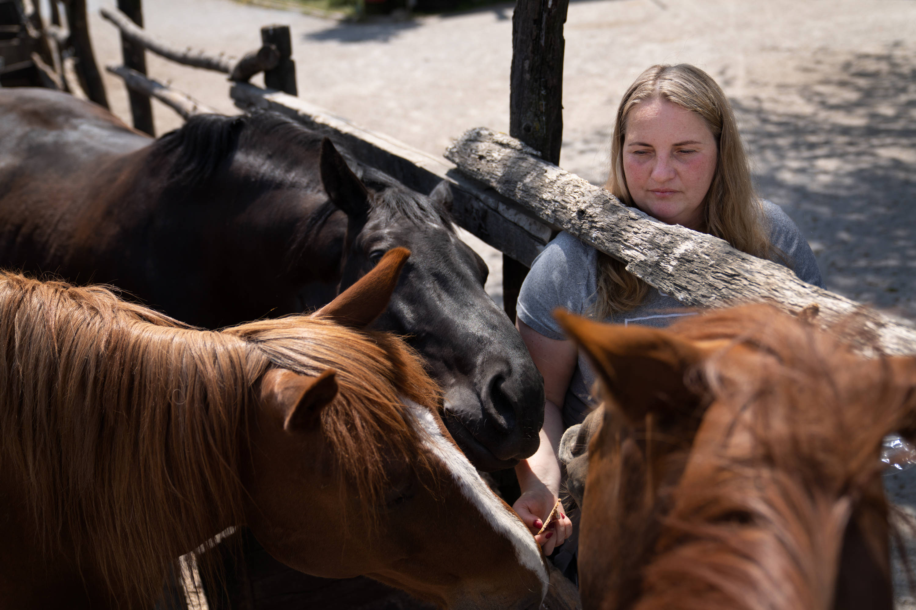 The Cossacks' traditions live on near the front lines in Ukraine 10 Anastatasiya Kopishynska, feeds the horses on the farm.