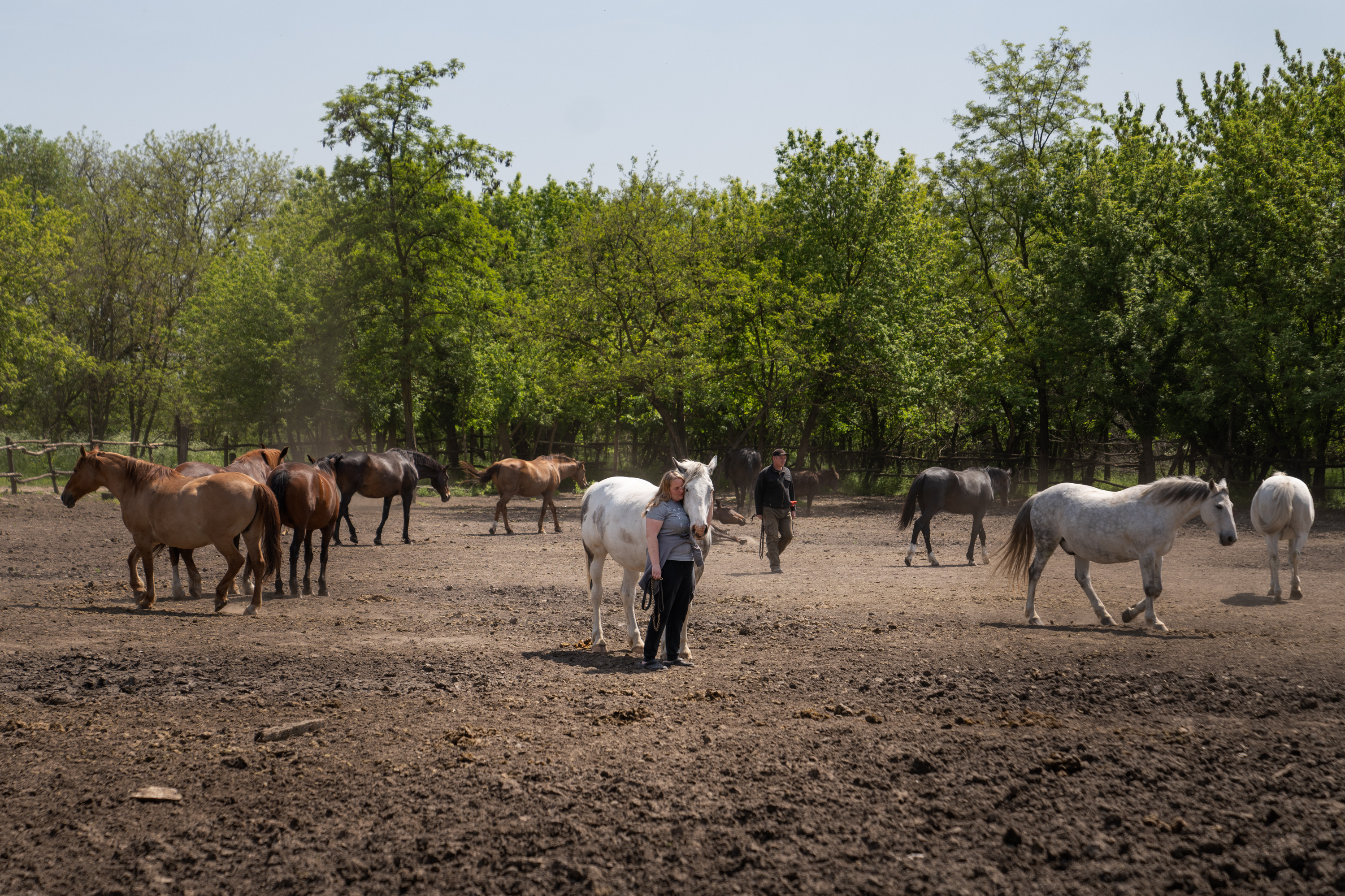 The Cossacks' traditions live on near the front lines in Ukraine 11 Anastatasiya walks among the horses at the riding school she runs on Khortytsia.