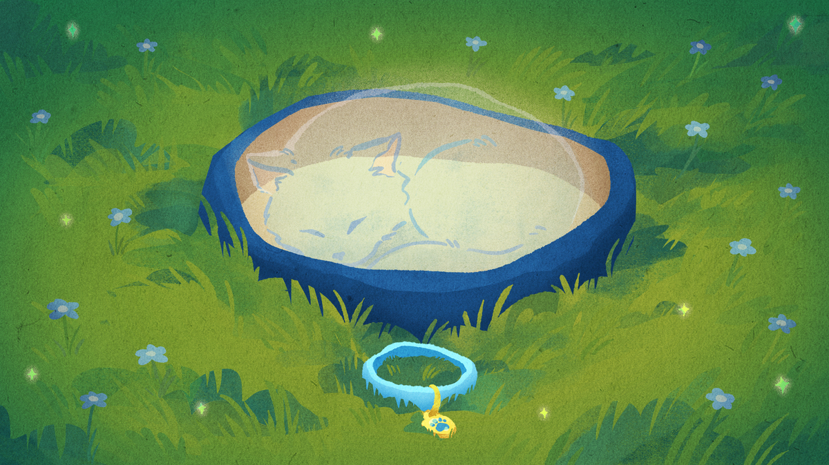 Illustration: a pet's bed lies on a field of grass, a light blue pet collar placed in front of it. A transparent cat can be seen curled up sleeping in the bed, to represent a pet that once occupied the space.