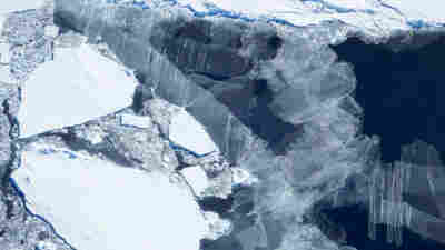 Antarctica has a lot less sea ice than usual. That's bad news for all of us