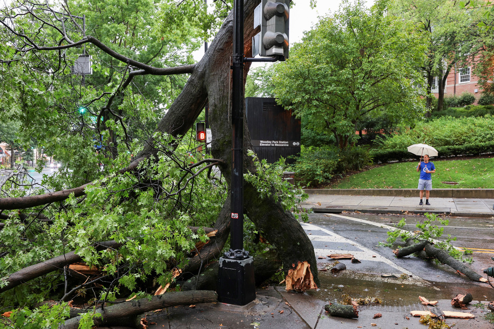 A man holding an umbrella stands near a fallen tree during stormy weather in Washington, D.C., on Monday. (Reuters)