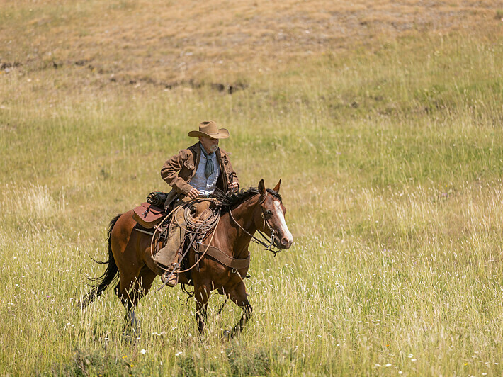 <em>Yellowstone</em>'s later seasons were filmed in Montana. (Paramount)