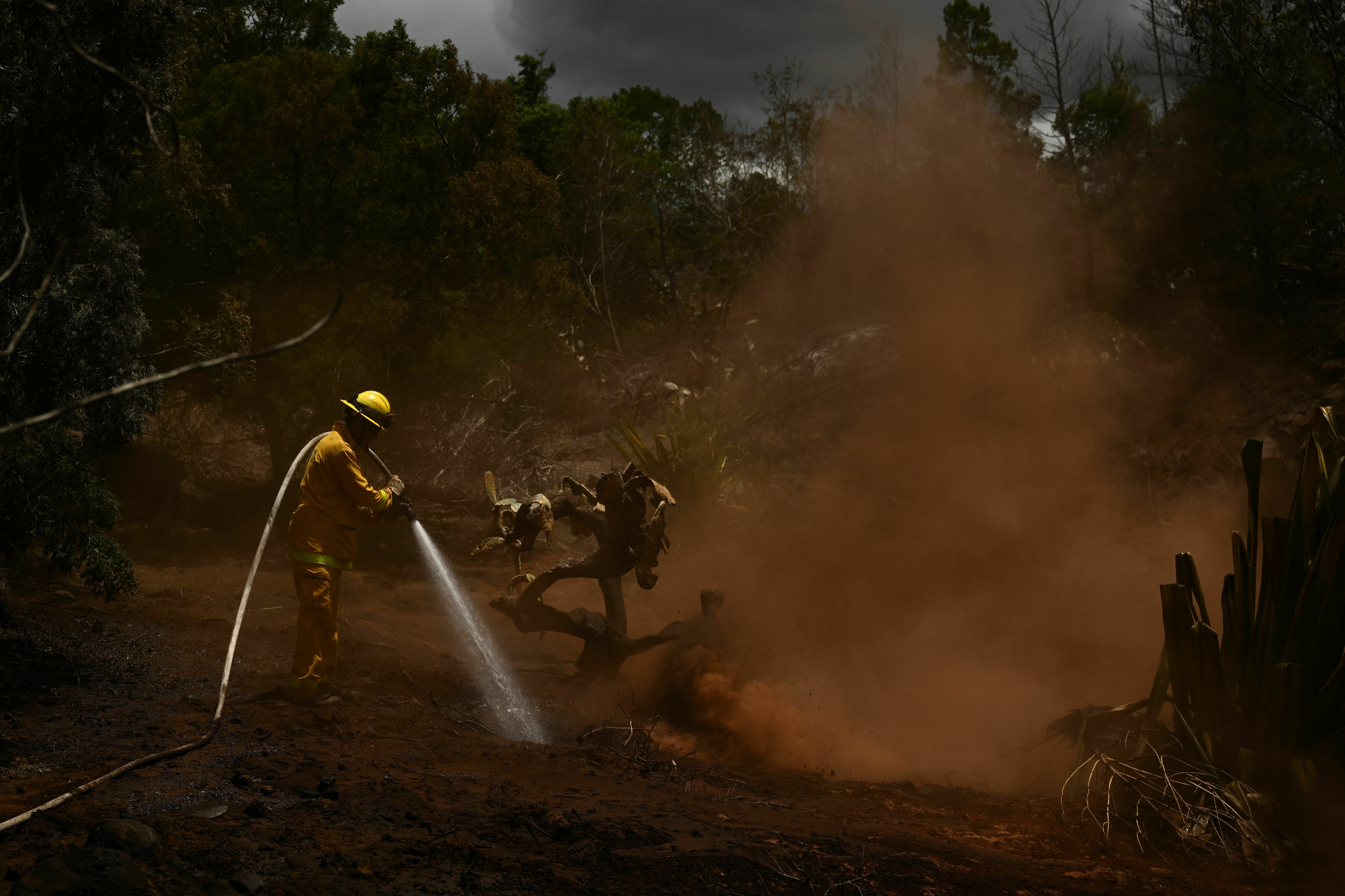 August 13: A Maui County firefighter uses a hose line to extinguish a fire near homes during the upcountry Maui wildfires in Kula, Hawaii. (AFP via Getty Images)