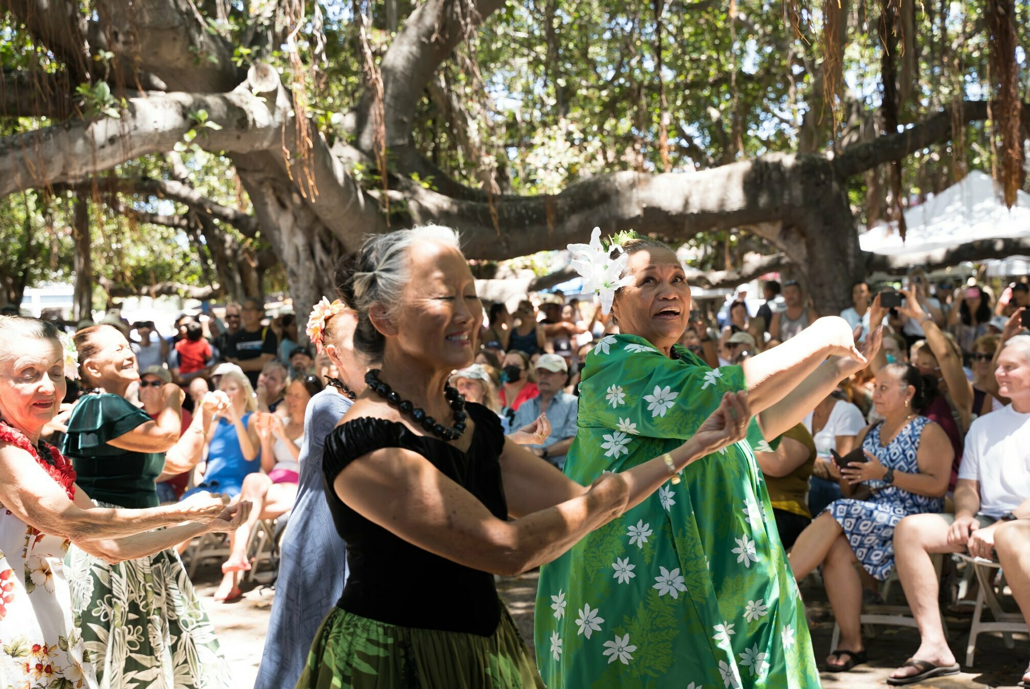A scene from the 2022 Emma Farden Sharpe Hula Festival, which usually takes place under the famous banyan tree in downtown Lahaina. The organizers pivoted to Facebook for the 2023 edition after the fires badly burned the tree. (Emma Farden Sharpe Hula Festival)