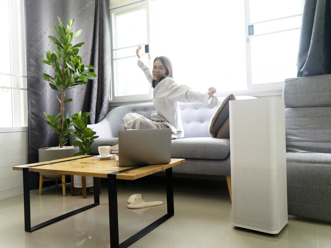 Can a Dehumidifier Improve Indoor Air Quality? - Sky Indoor Air Quality