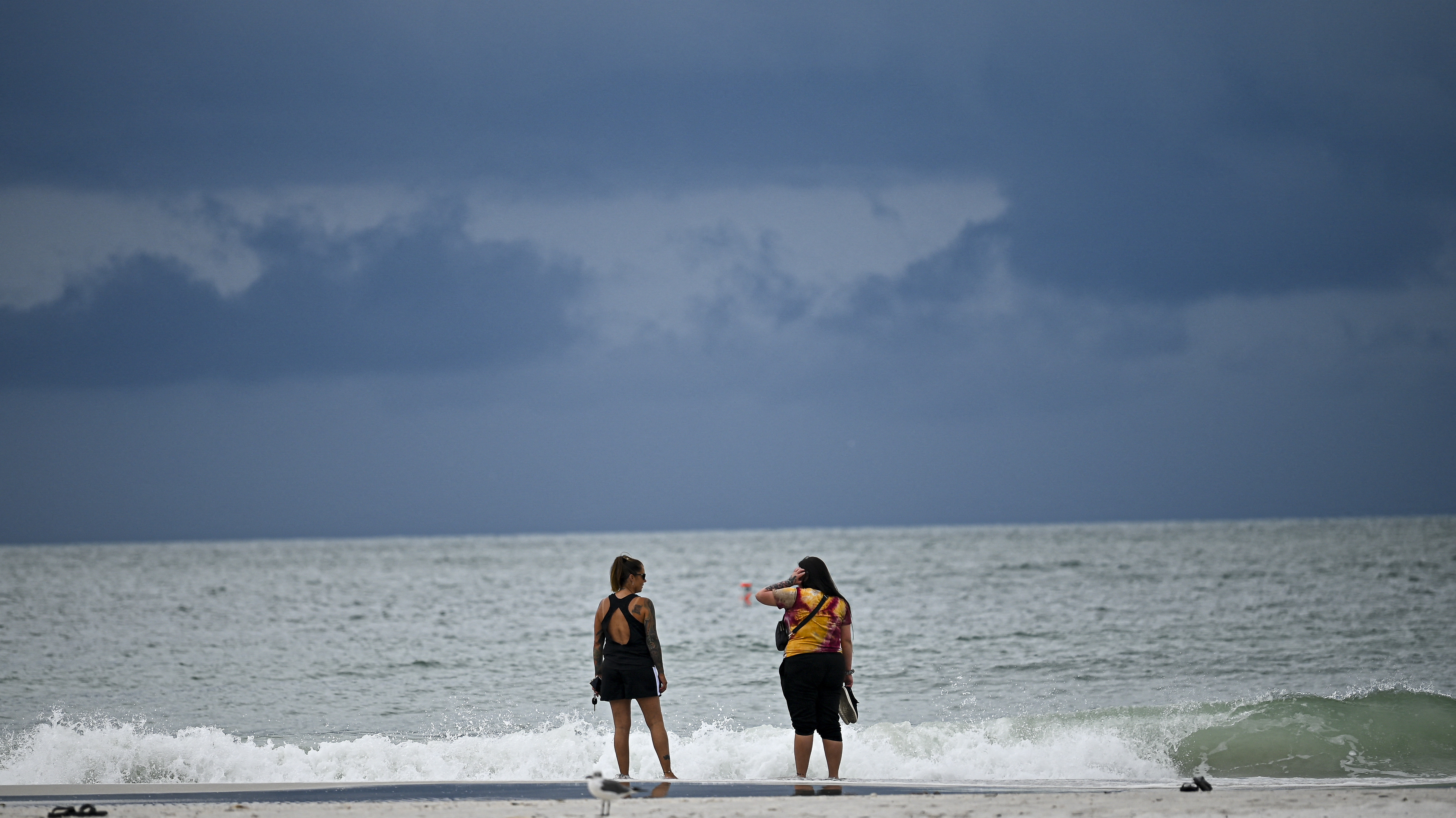 Idalia strengthens and is now predicted to hit Florida as a Category 4 hurricane Idalia strengthens and is now predicted to hit Florida as a Category 4 hurricane