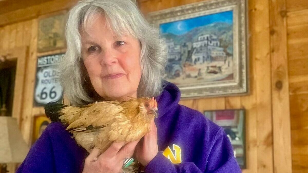 Meet Peanut, a 21-year-old chicken and world record holder - Vimarsana News