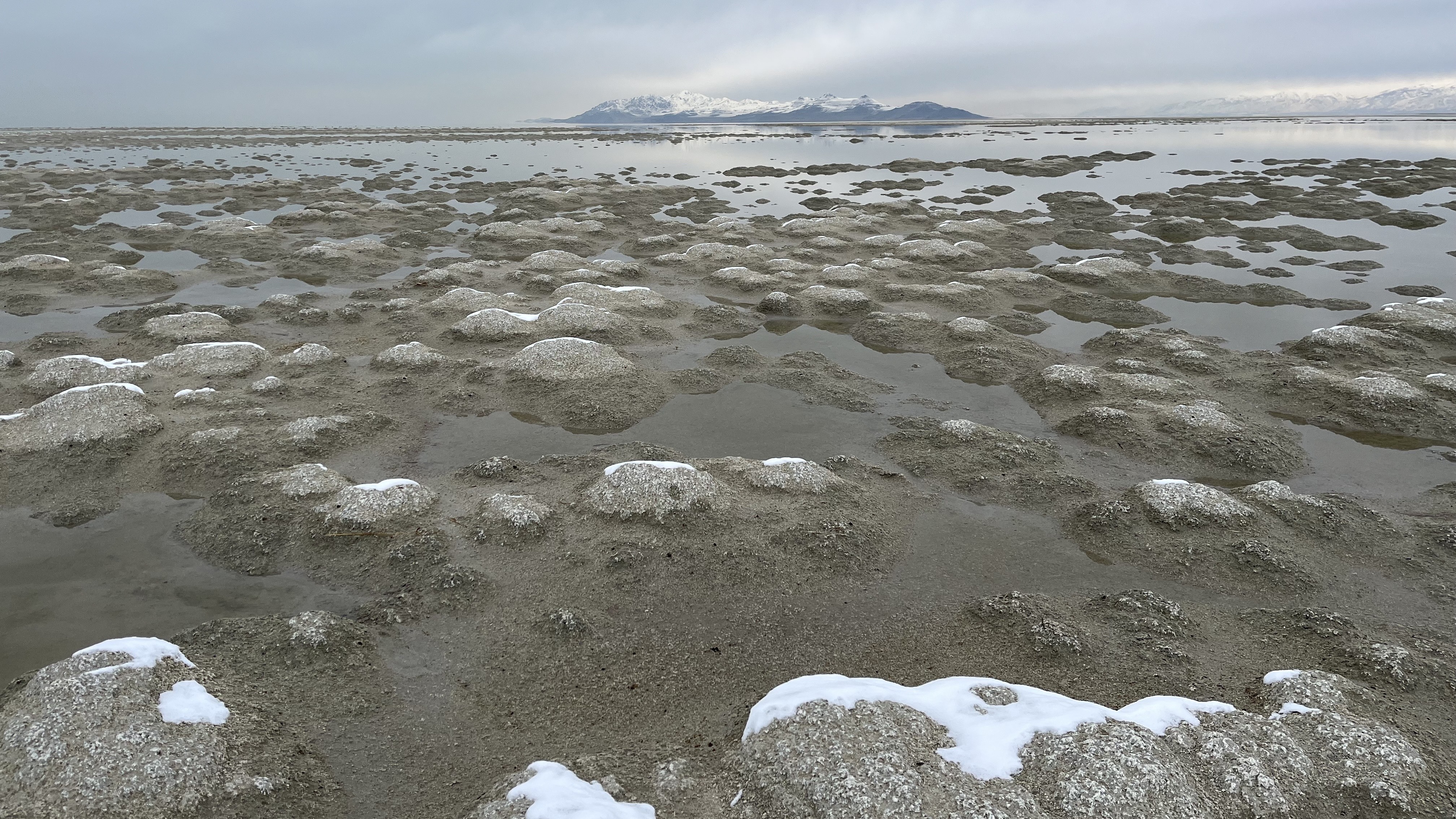 Green groups sue, say farmers are drying up Great Salt Lake
