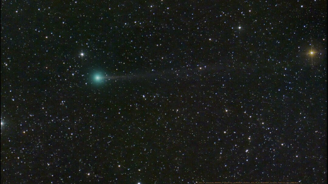 Meet the comet Nishimura.