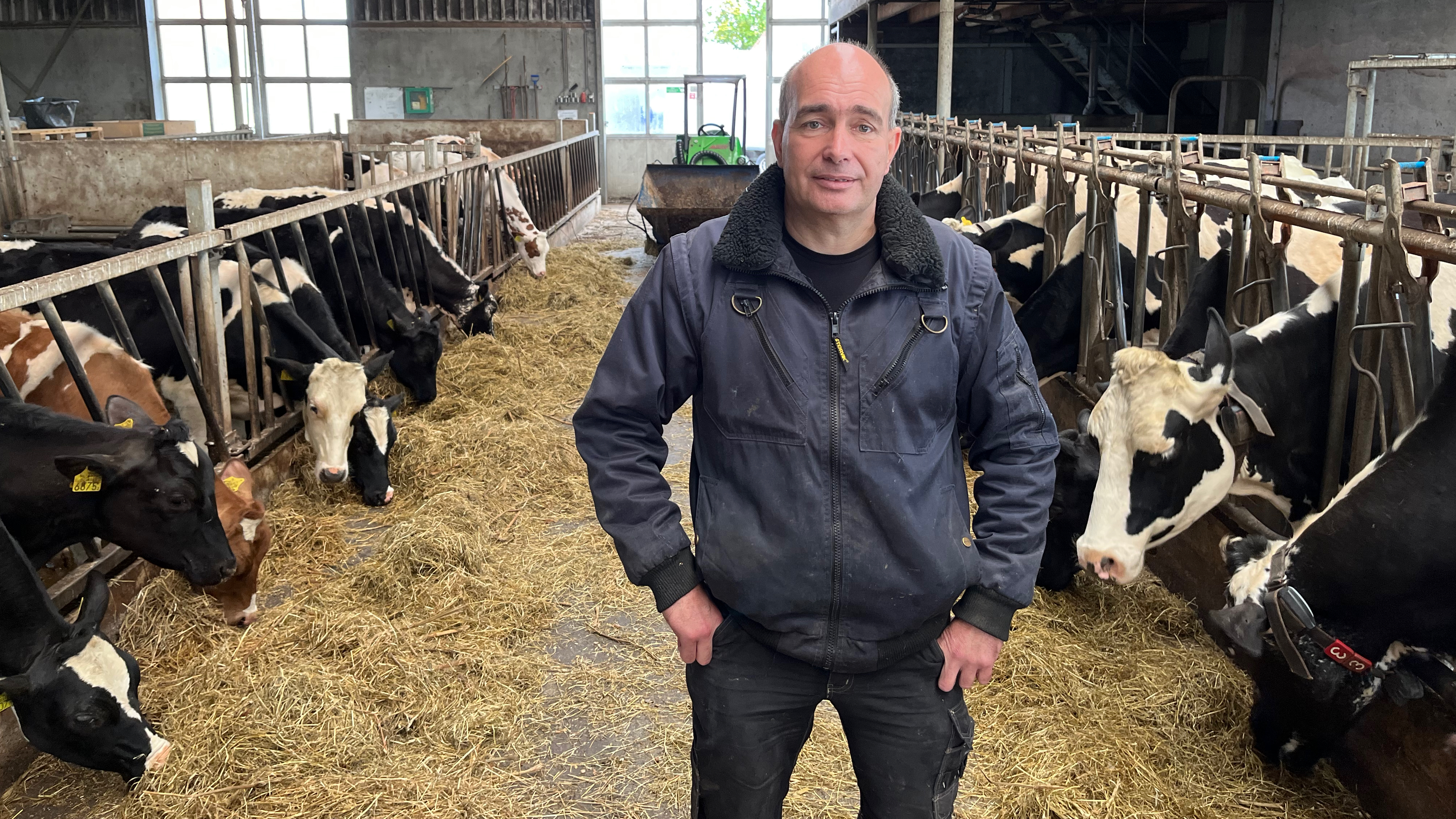 In the Netherlands, a farmers party taps into widespread discontent with government