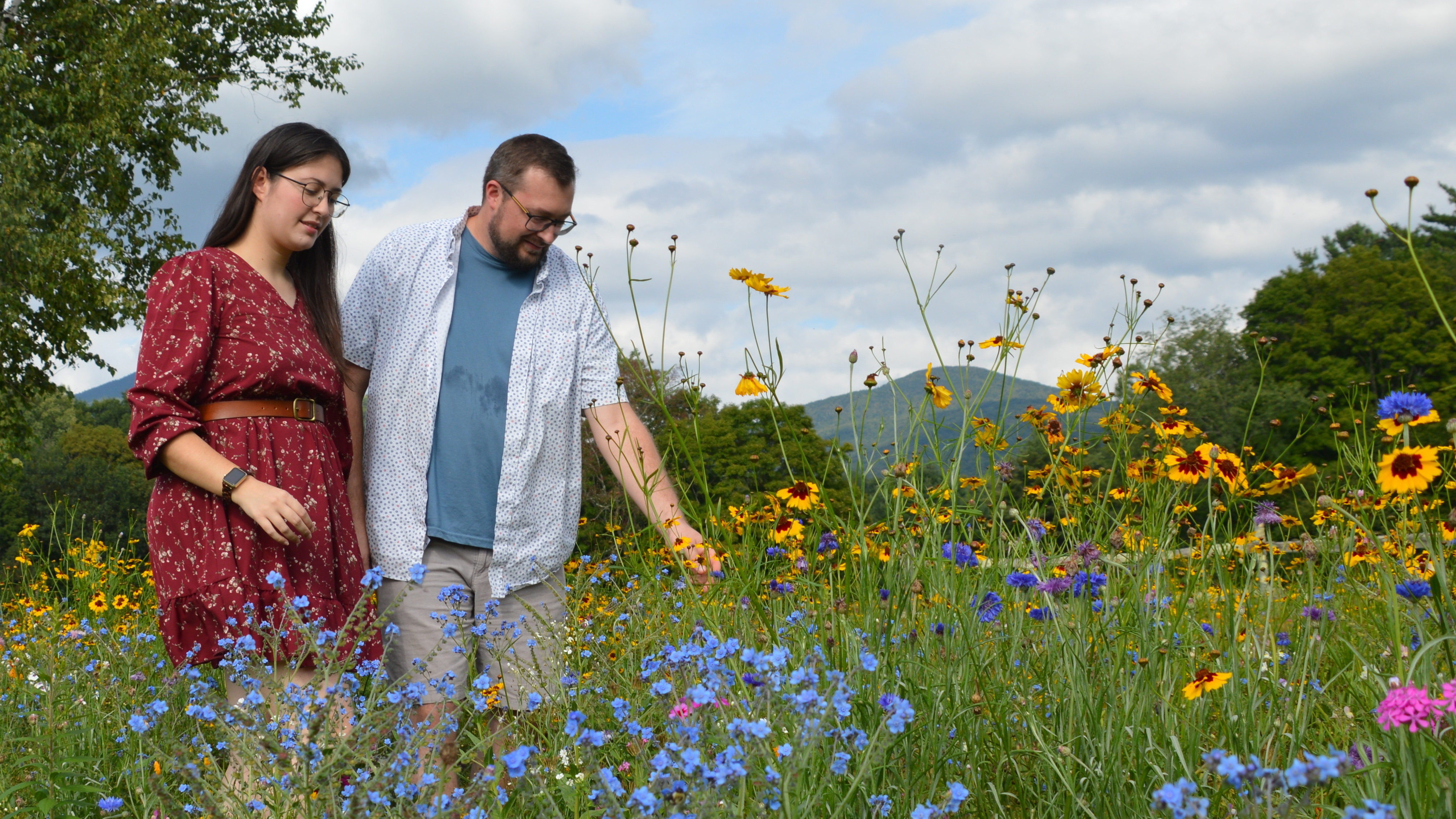 Planting a meadow and growing a community