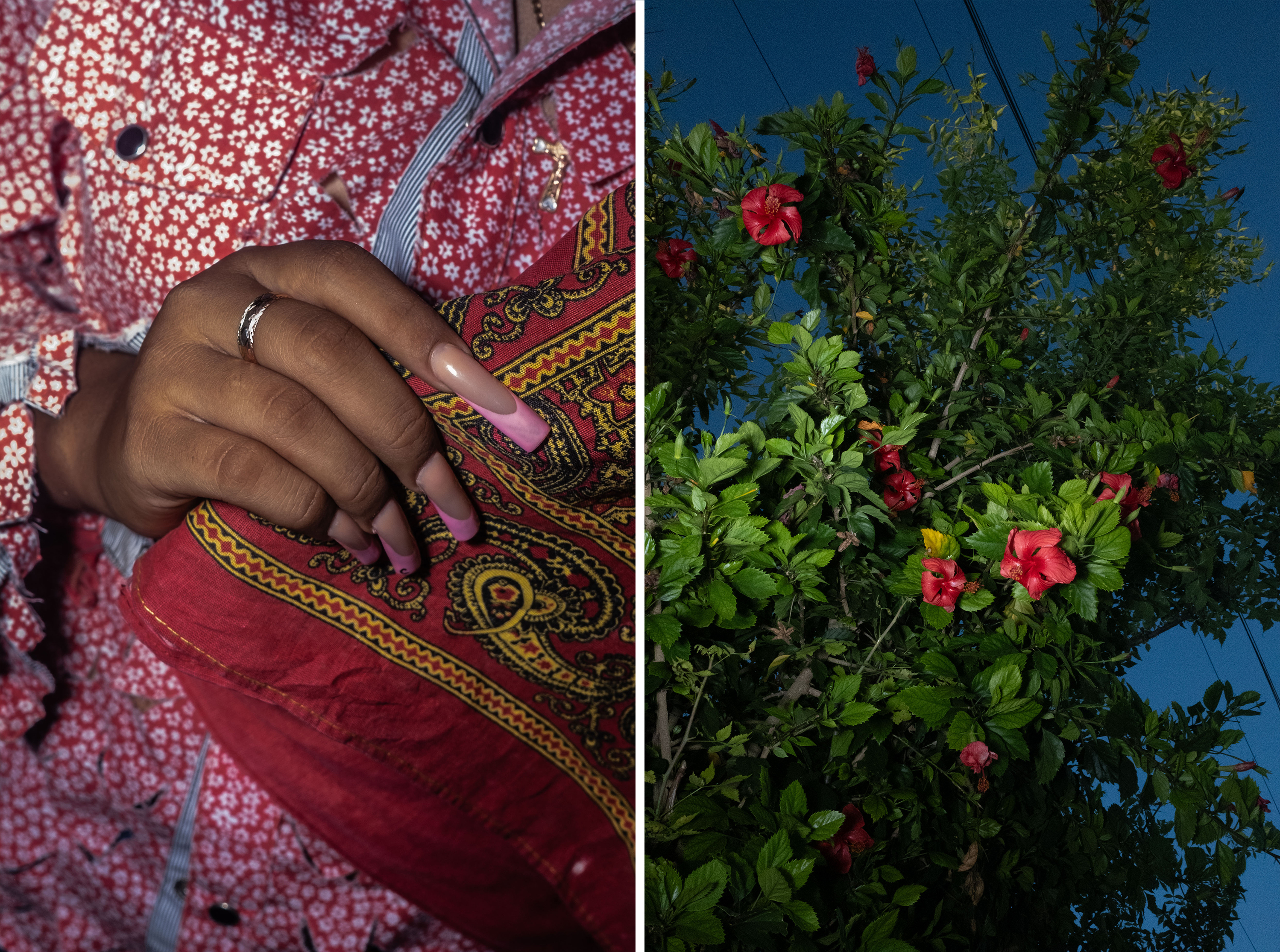 Women of the Sea: Afro-descendants honor their heritage in Mexico 2 Detail of the hand of a dancer of the Diablos dance and a Mexican tulip tree in the garden overlooking the street at a house in Tamiahua, Veracruz, on July 21.