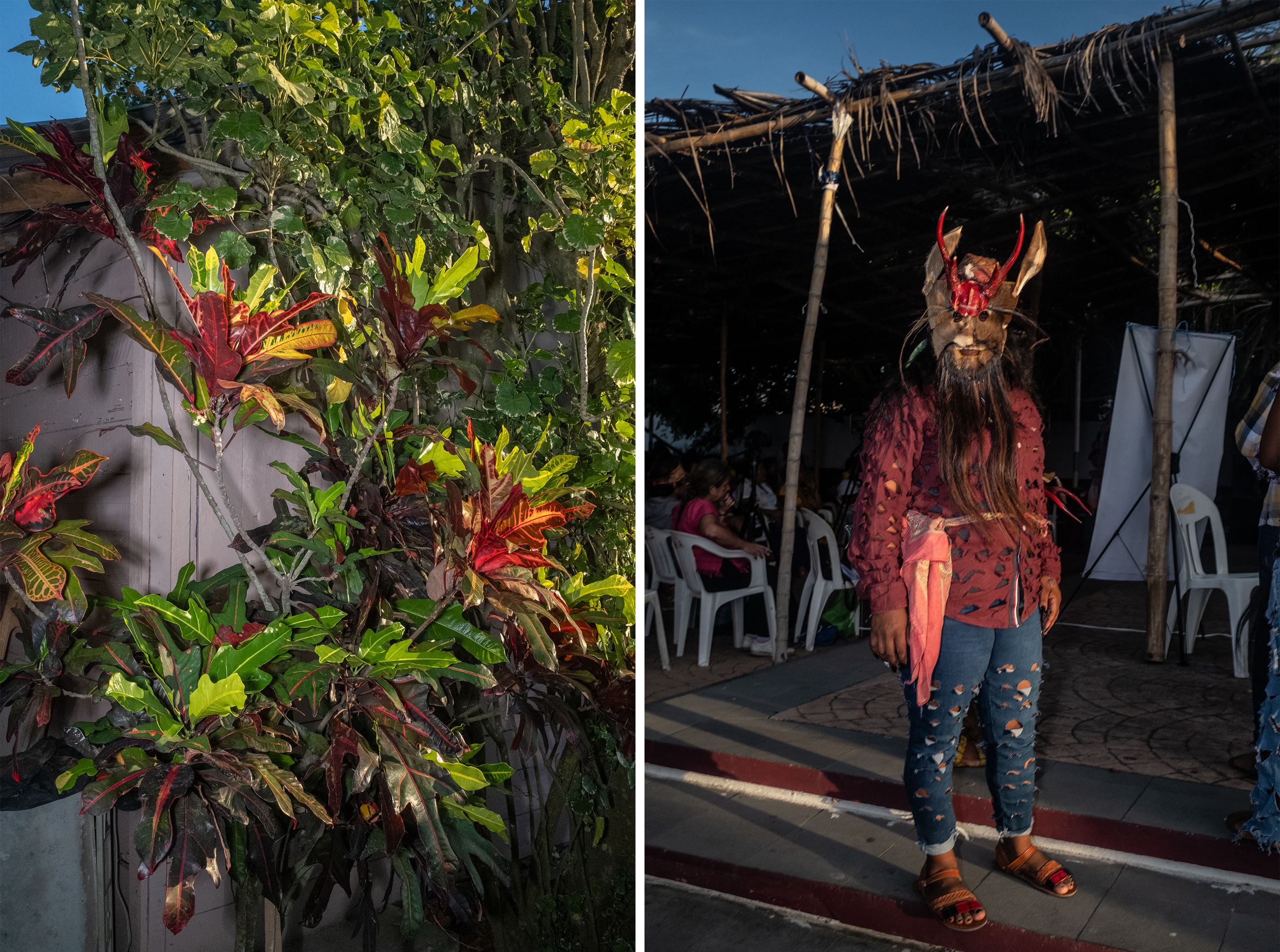 Women of the Sea: Afro-descendants honor their heritage in Mexico 4 Croton plant and a dancer of the Diablos dance before beginning her performance in Tamiahua, Veracruz, on July 21.