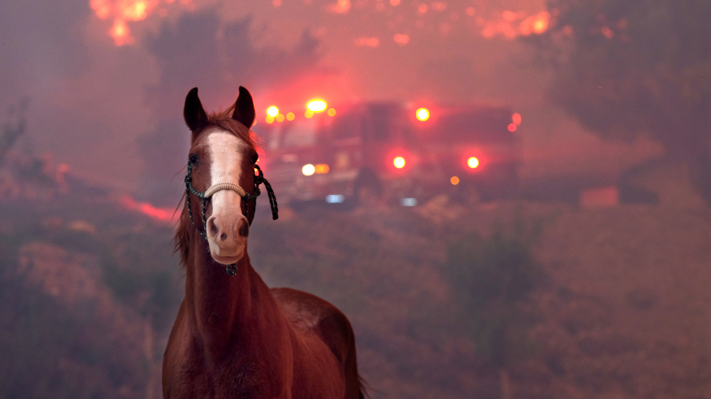 National Park Service begins construction at Paramount Ranch following wildfire : NPR - Vimarsana News