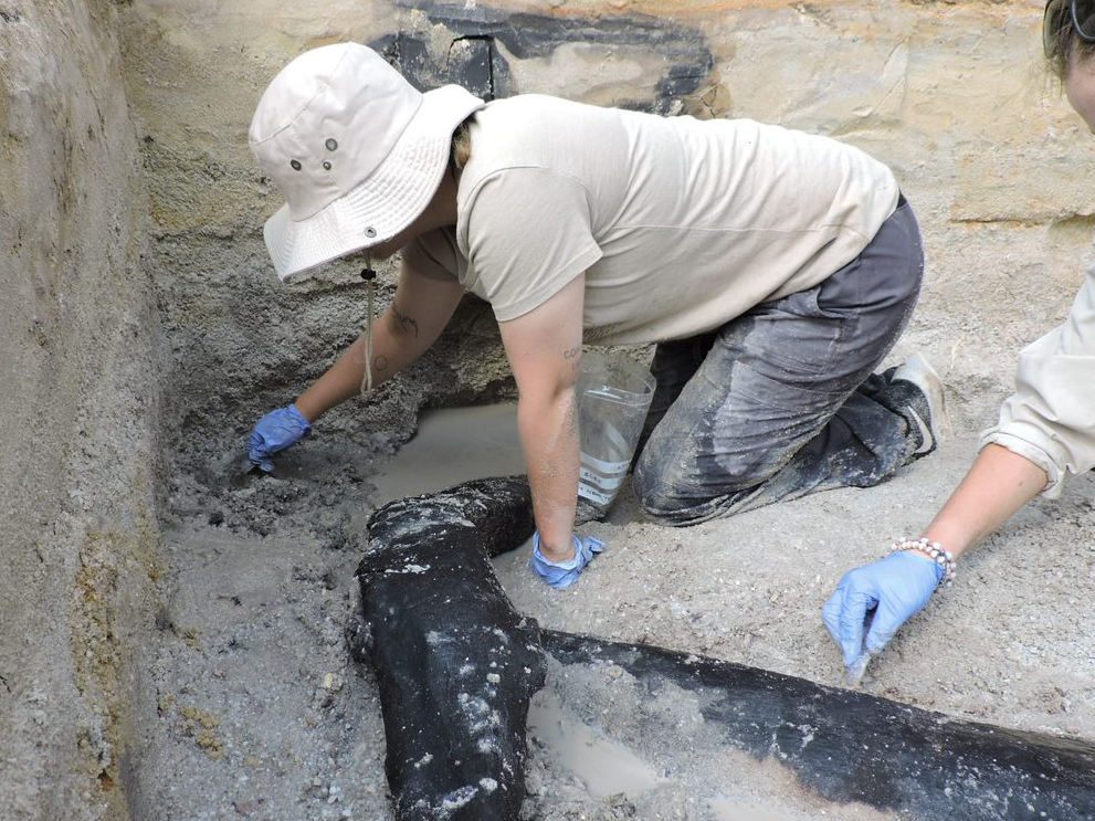 World's oldest wooden structure defies Stone-Age stereotypes - Vimarsana News