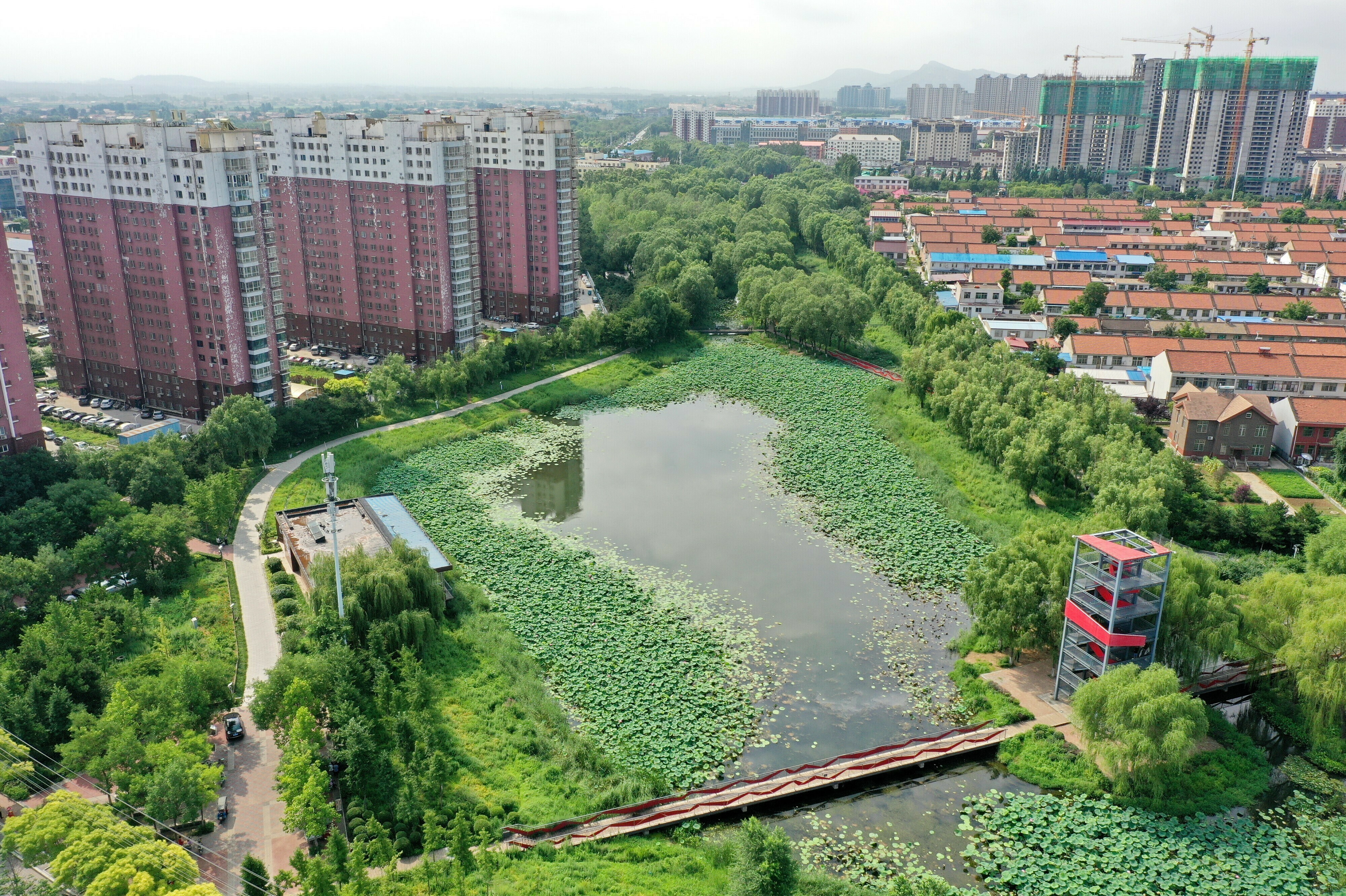 This natural pond helps reserve precipitation in the ecological corridor of Qian'an, a city in China's Hebei province. Like many other Chinese cities, Qian'an used to fall victim to urban flooding during rainy seasons. But things have changed since 2015, when the city was included in a national pilot program for &quot;sponge city&quot; construction. (Mu Yu/Xinhua via Getty Images)