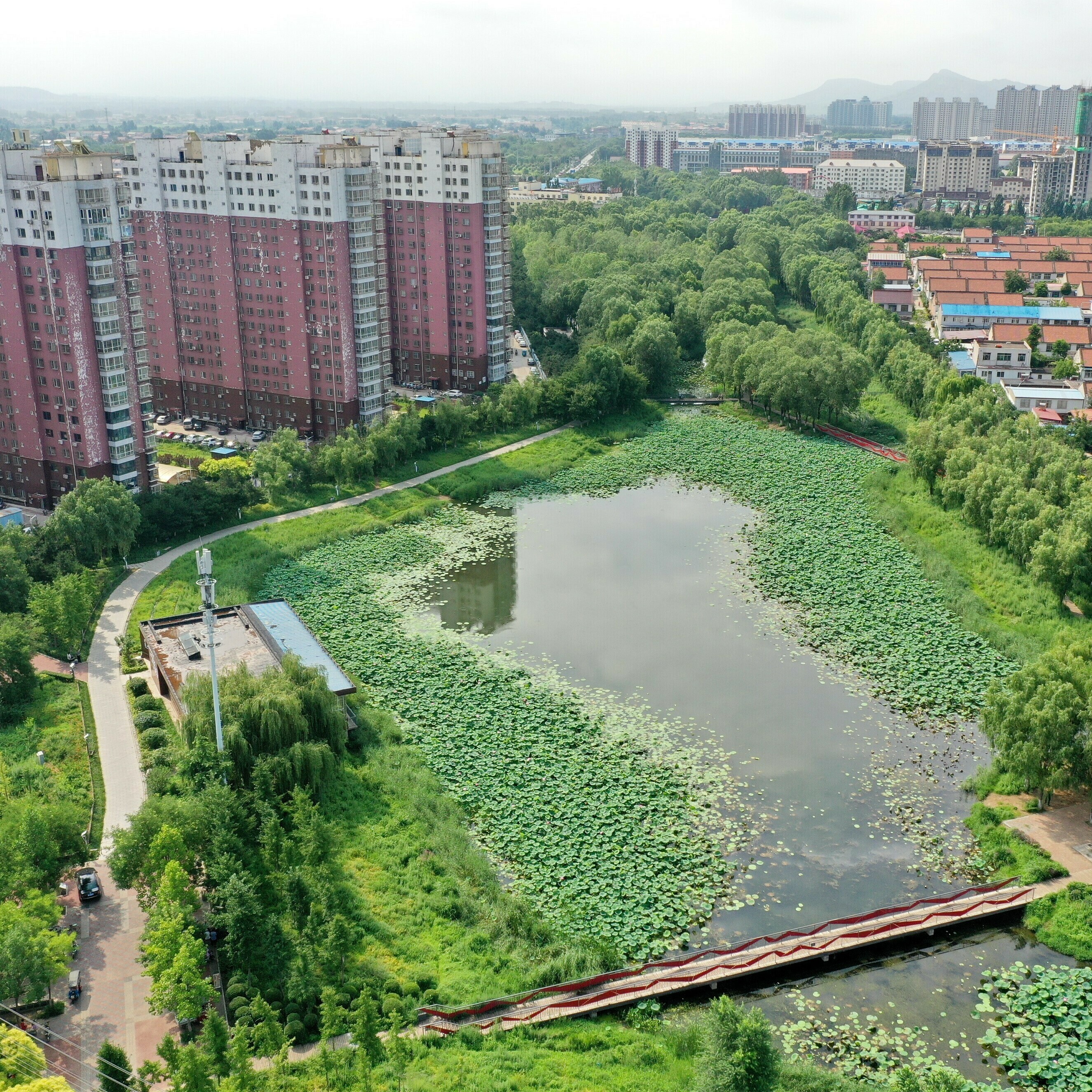 This natural pond helps reserve precipitation in the ecological corridor of Qian'an, a city in China's Hebei province. Like many other Chinese cities, Qian'an used to fall victim to urban flooding during rainy seasons. But things have changed since 2015, when the city was included in a national pilot program for "sponge city" construction.