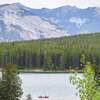 A grizzly bear kills two people in Banff National Park, Canada