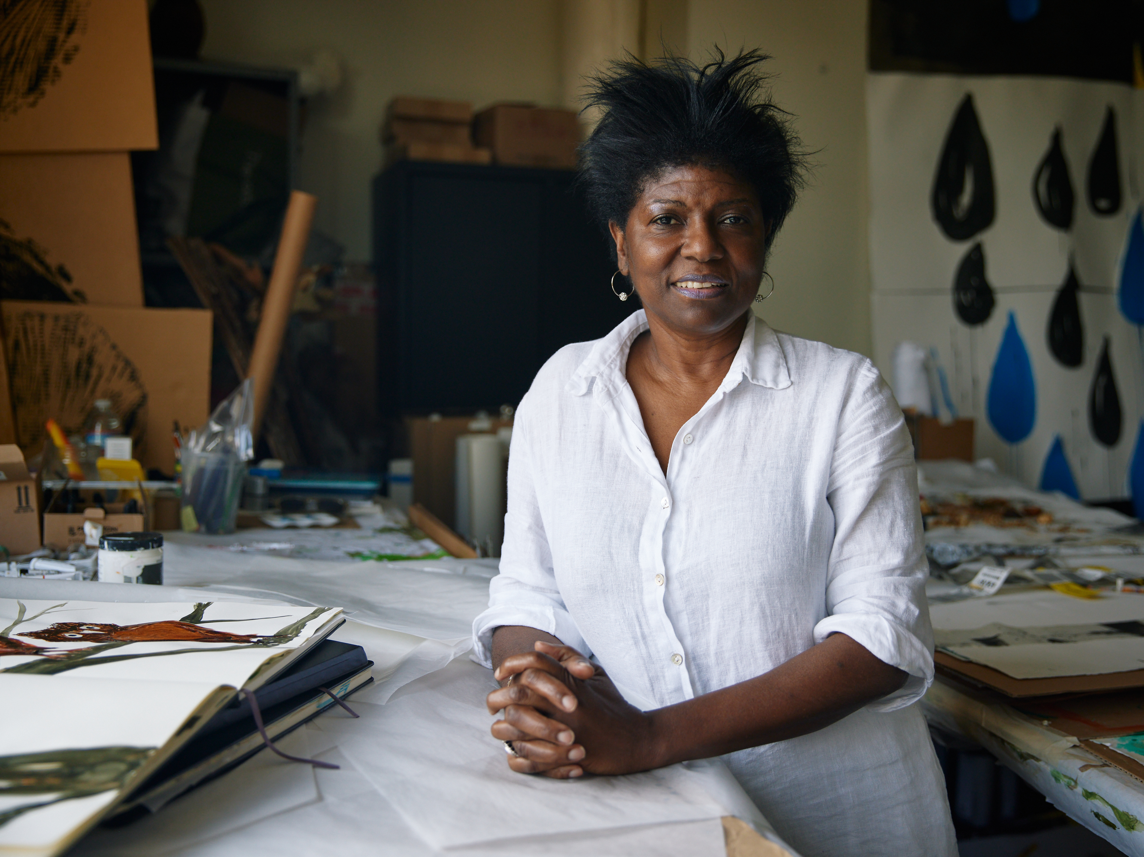 MacArthur 'genius' makes magical art that conjures up her Afro-Cuban roots - Vimarsana News