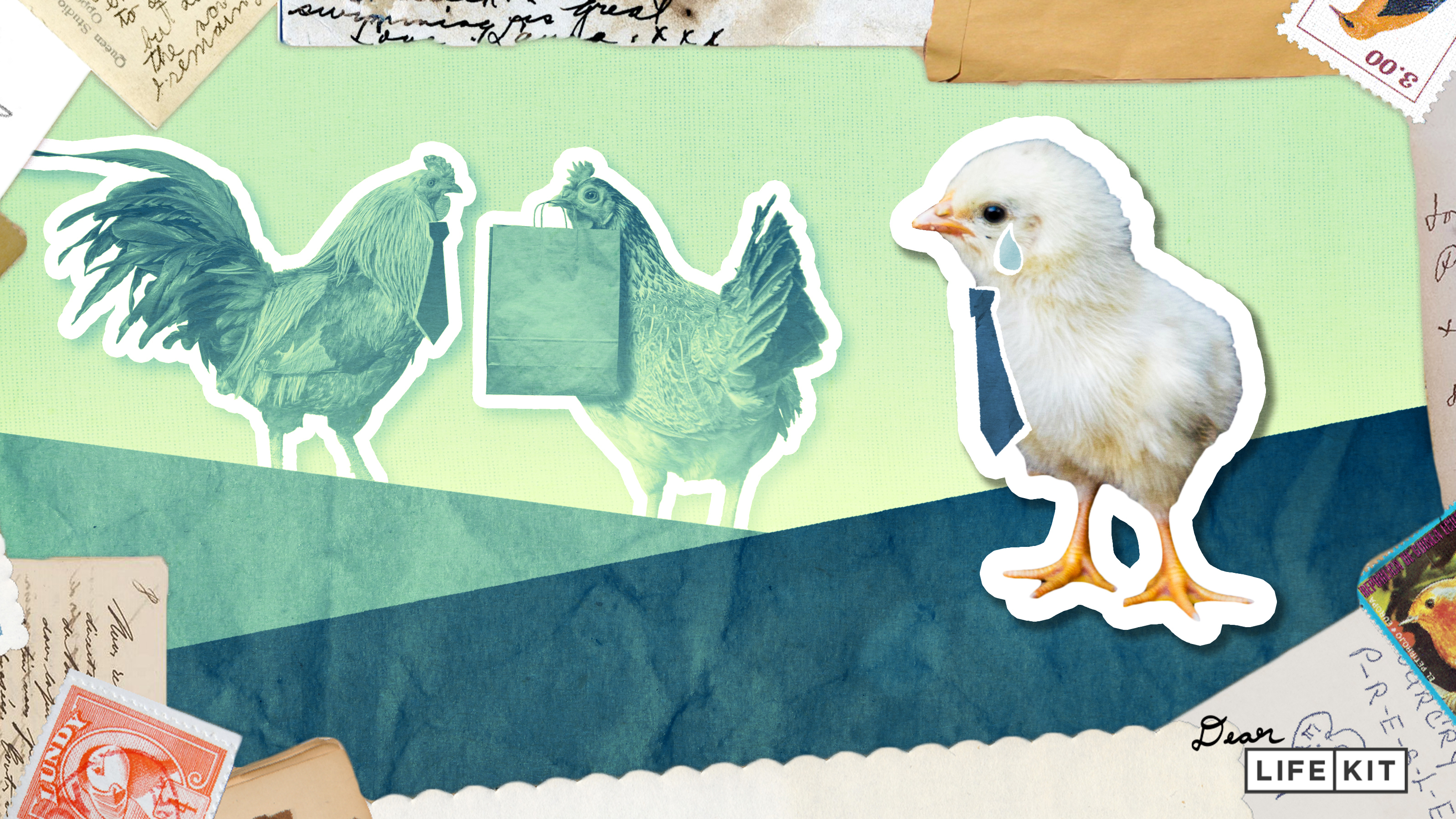 Dear Life Kit: Your most petty social dilemmas, answered : Life Kit