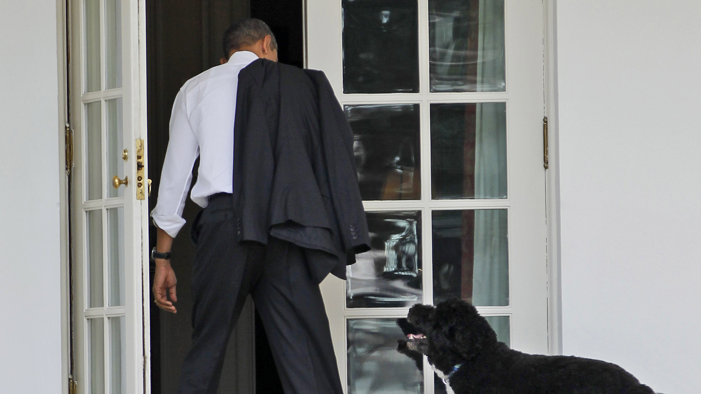 Presidential pets can breed controversy. A dog was once suspected of being a spy