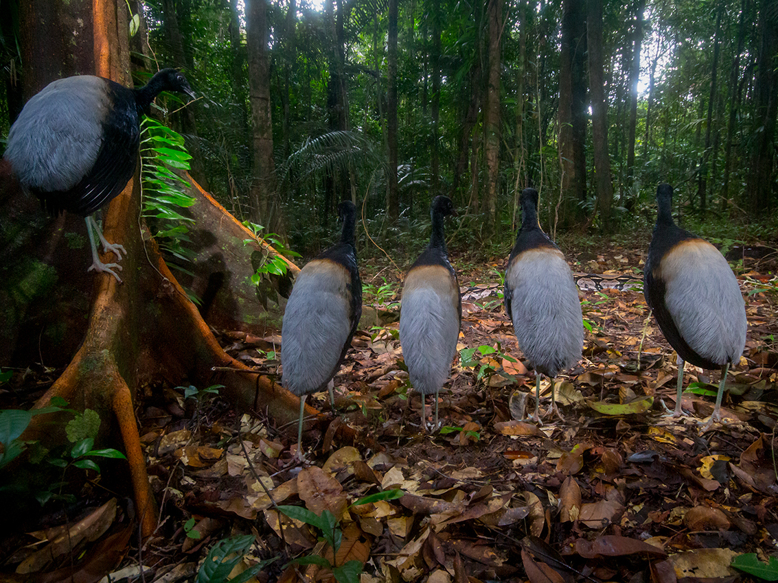 Nature Calls: The 2024 Wildlife Photographer Of The Year Winners – FJUDF