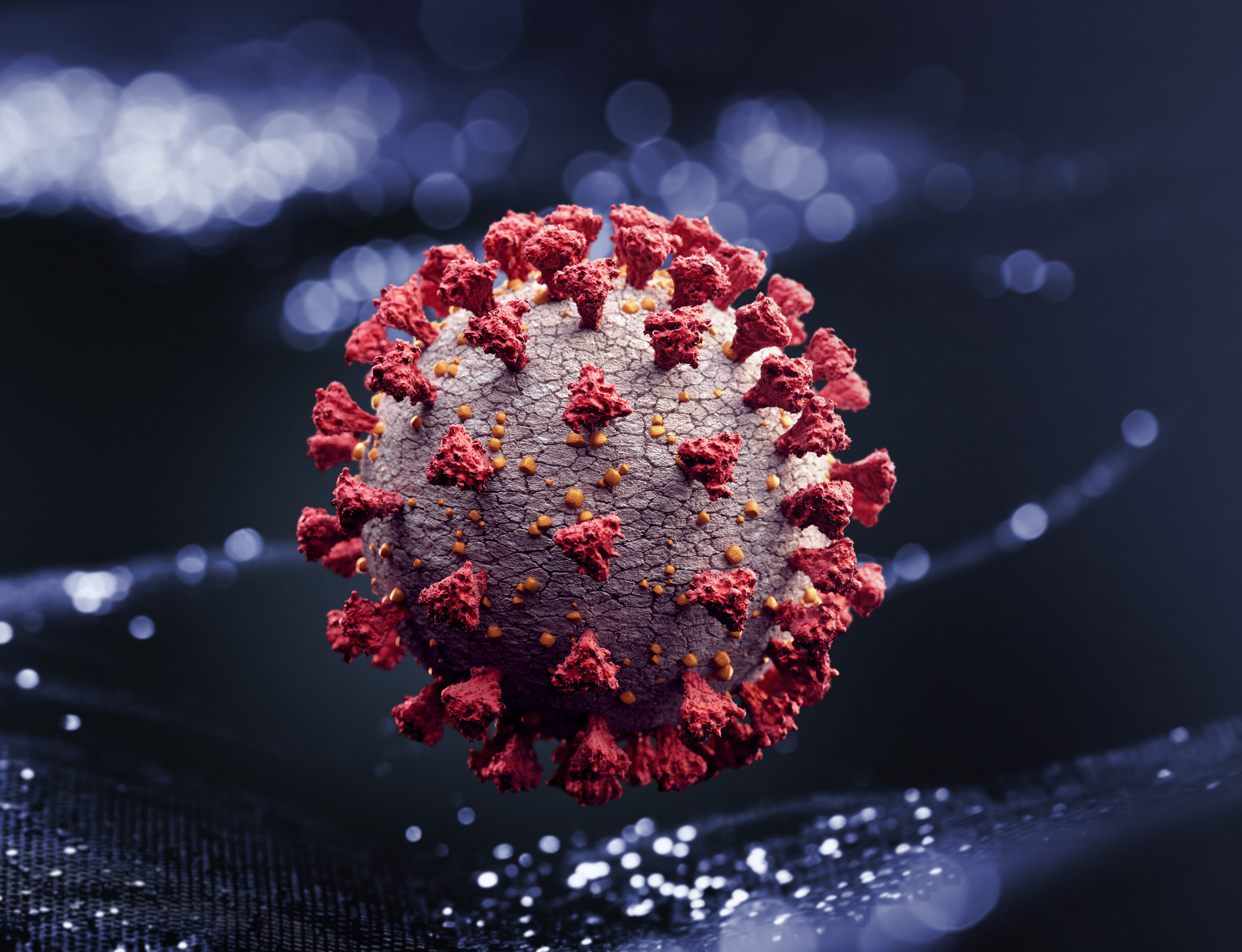 Corona virus (Getty Images)