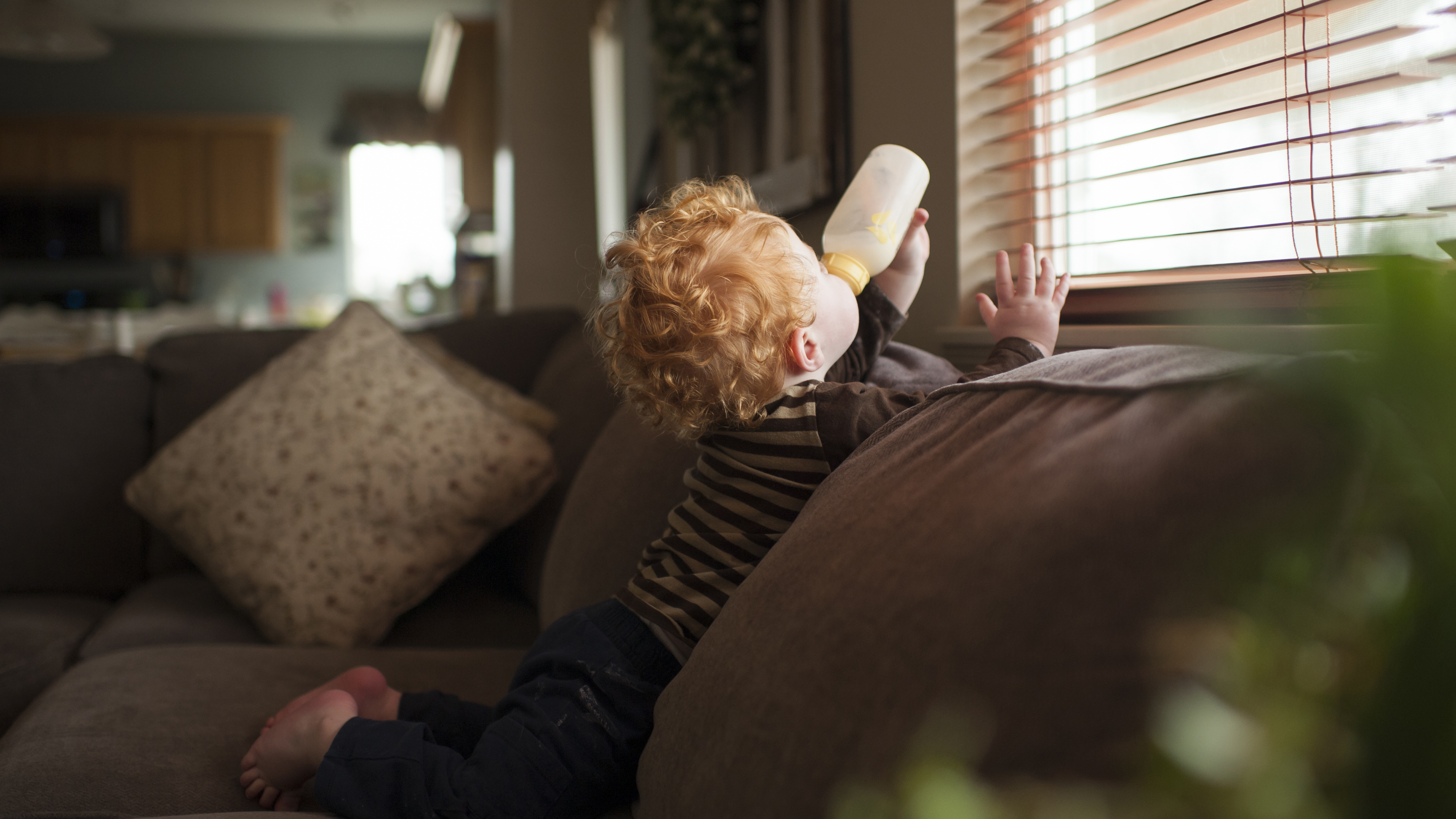 Toddler formulas may be less healthy than cows milk, a new report ...