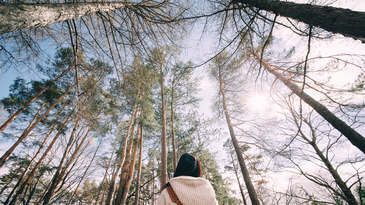 Rear view of woman looking up to sky enjoying the magnificent of nature in forest