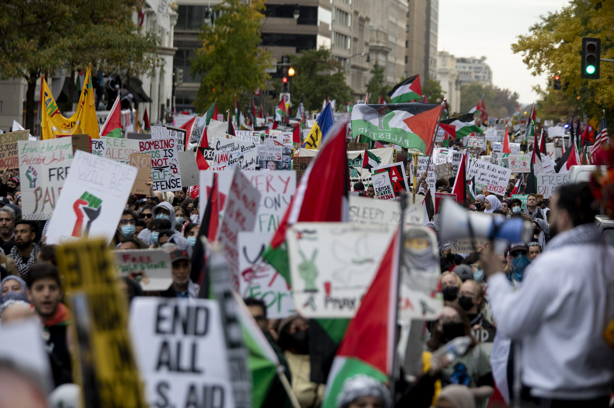 Tens of thousands gather for pro-Palestinian march in D.C. to demand ...