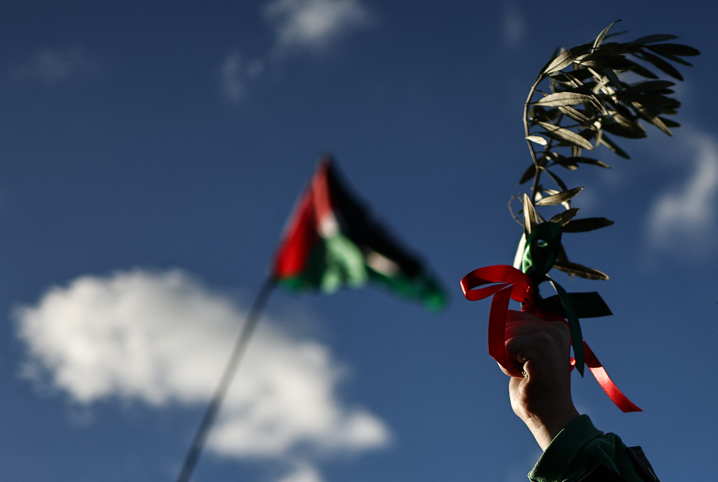 Sat., Nov. 11: Protesters holding olive branches, known as a sign of peace, take part in the 'National March For Palestine' in central London calling for a ceasefire in the conflict between Israel and Hamas.