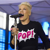 Pink gives away 2,000 banned books at Florida concerts 