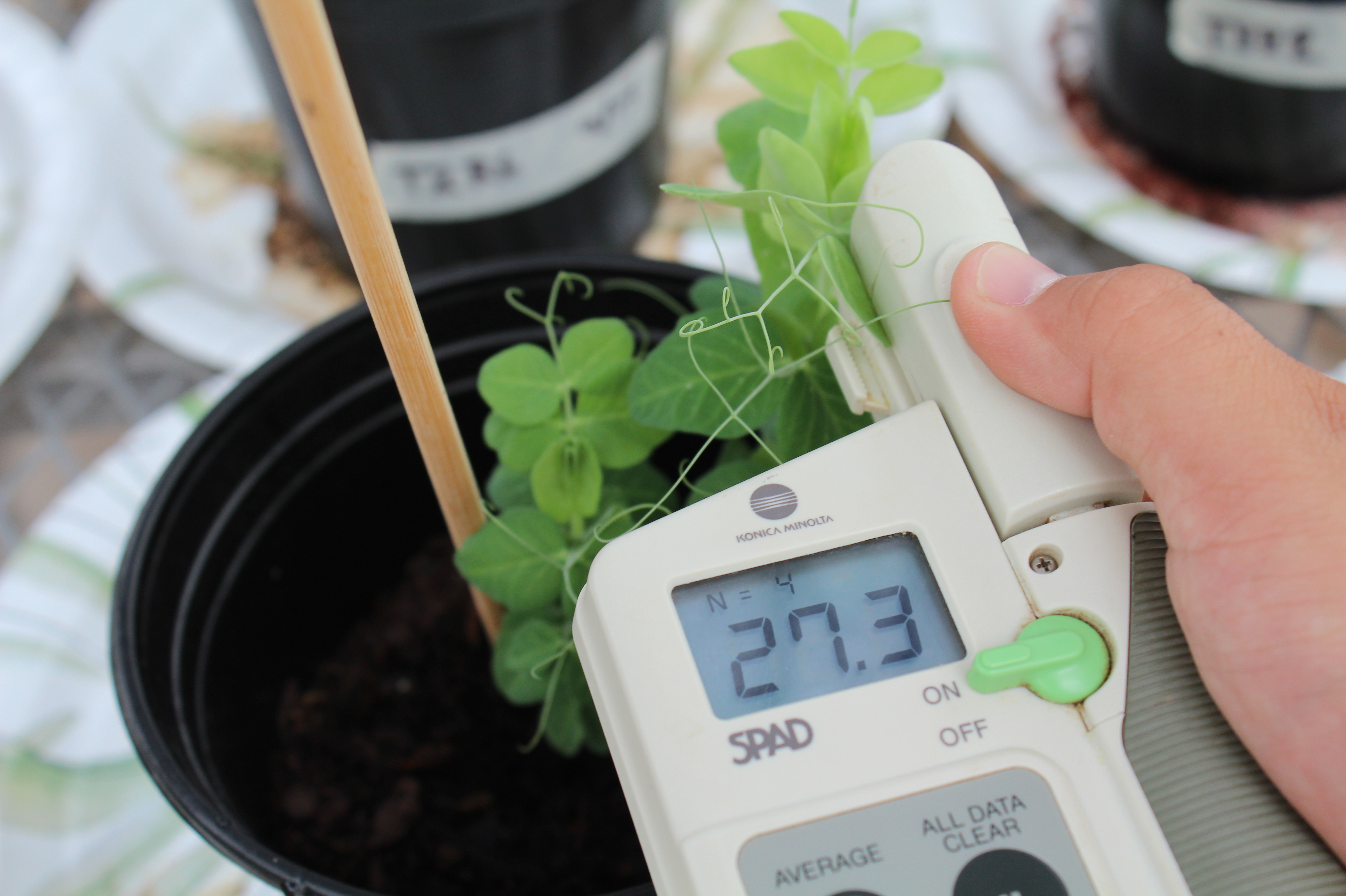 Can we grow veggies on Mars? Fly larvae and synthetic soil may hold the  answer : NPR