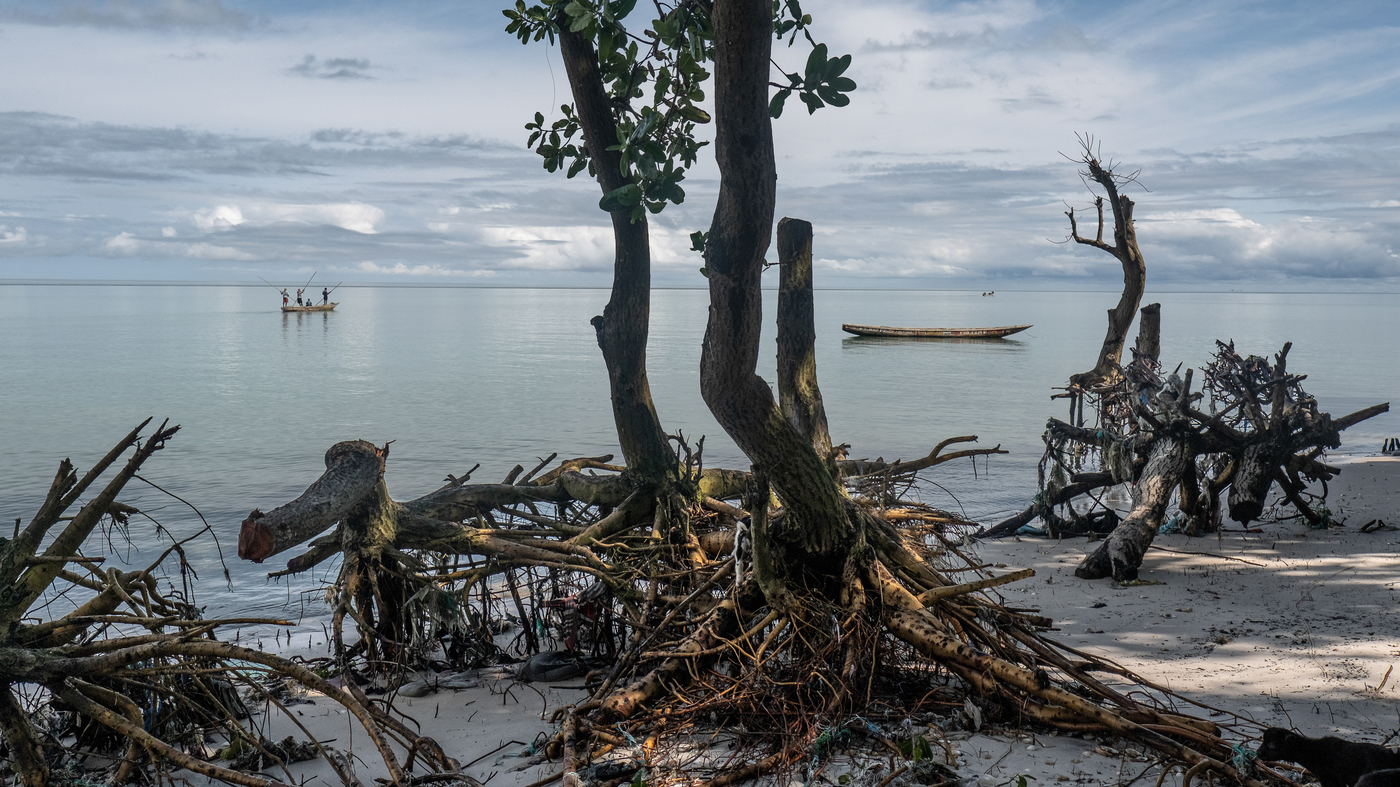 A disappearing island: 'The water is destroying us, one house at a time'Today, Nyangai is disappearing before his very eyes, swallowed up by the...
