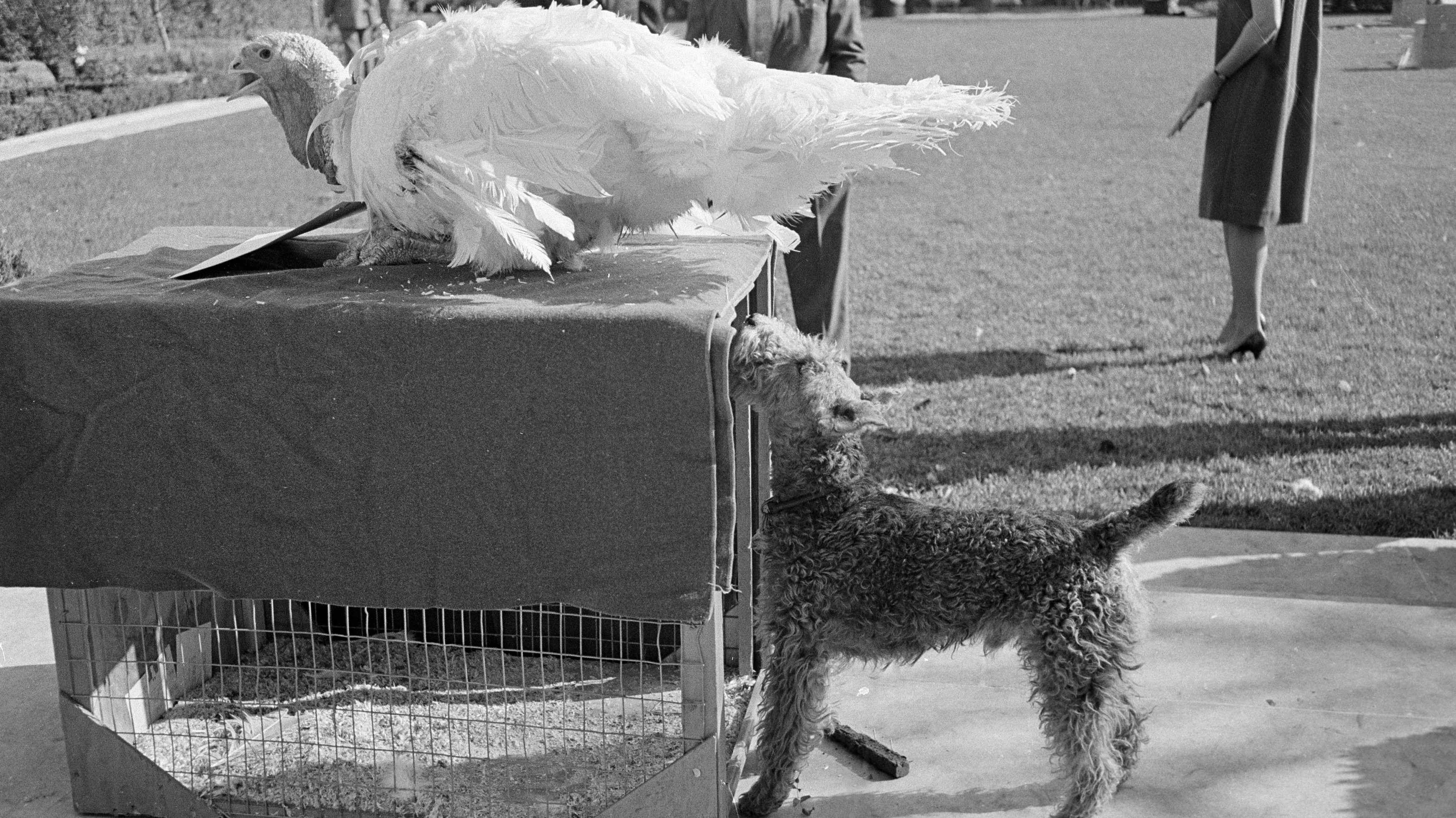 Charlie, Caroline Kennedy