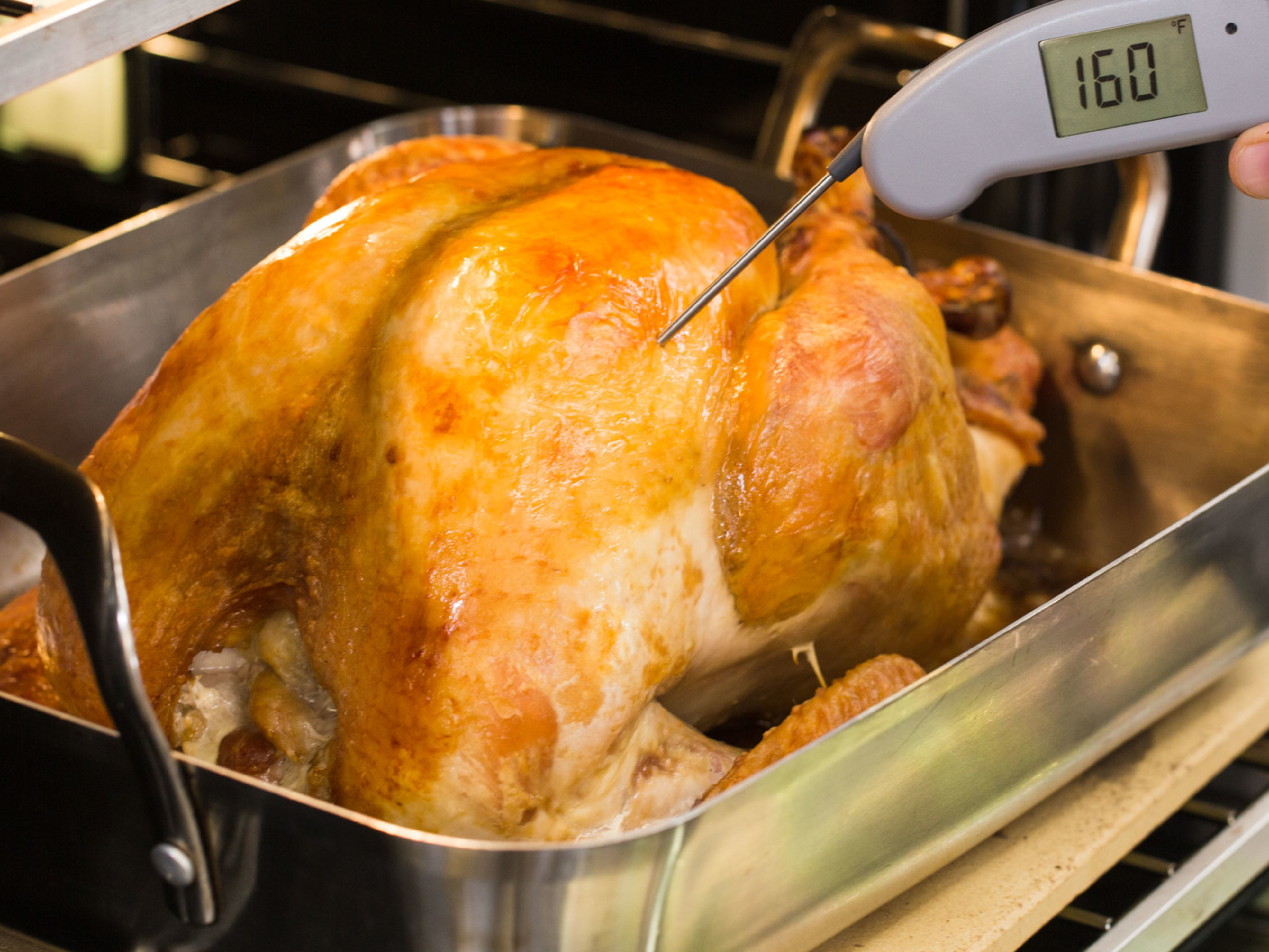 Temperature Matters: Meat Thermometer Guidelines - National Turkey