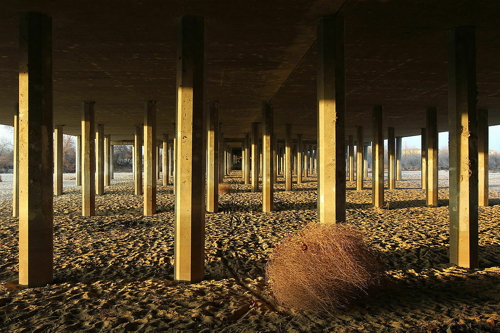 Attack of the giant tumbleweed: California town swamped in invasion, California