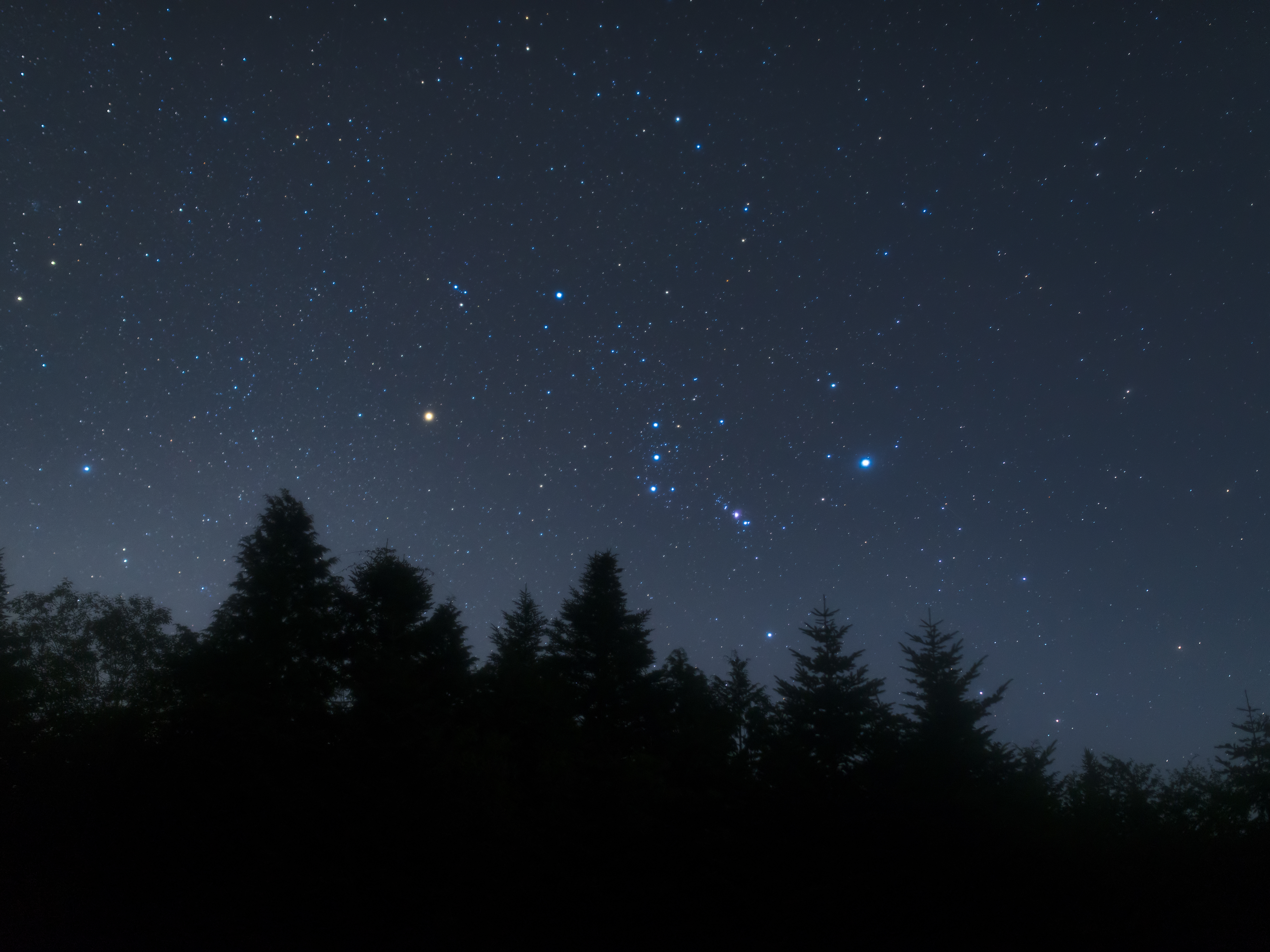 A star is born ... and then what? A journey through the life cycle of a star : Short Wave
