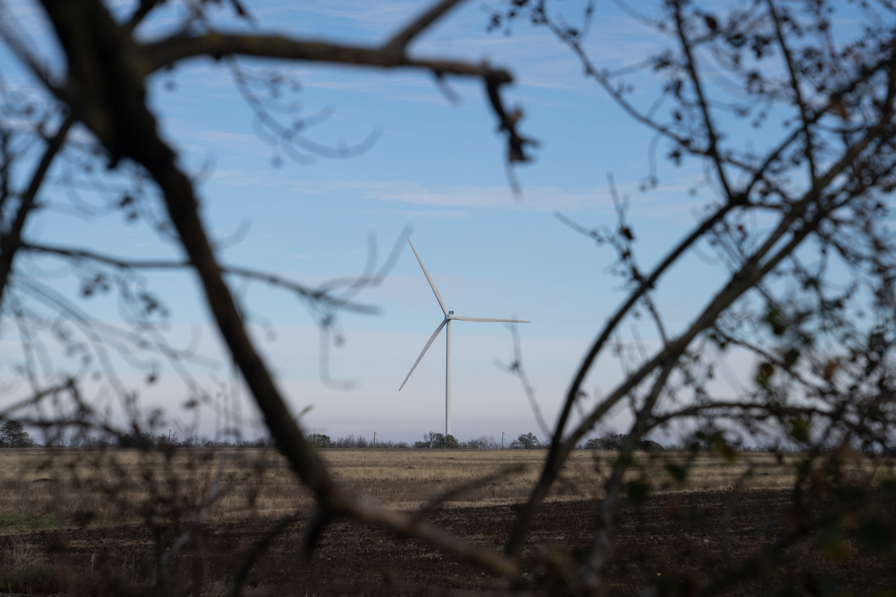 Ukraine is trying to keep its lights on this winter. Russia aims to turn them off 7 A wind turbine can be seen through a stand of trees in Ukraine's Mykolaiv region.