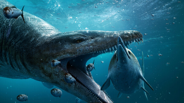 A pliosaur is about to attack an ichthyosaur in this illustration provided by BBC Studios.