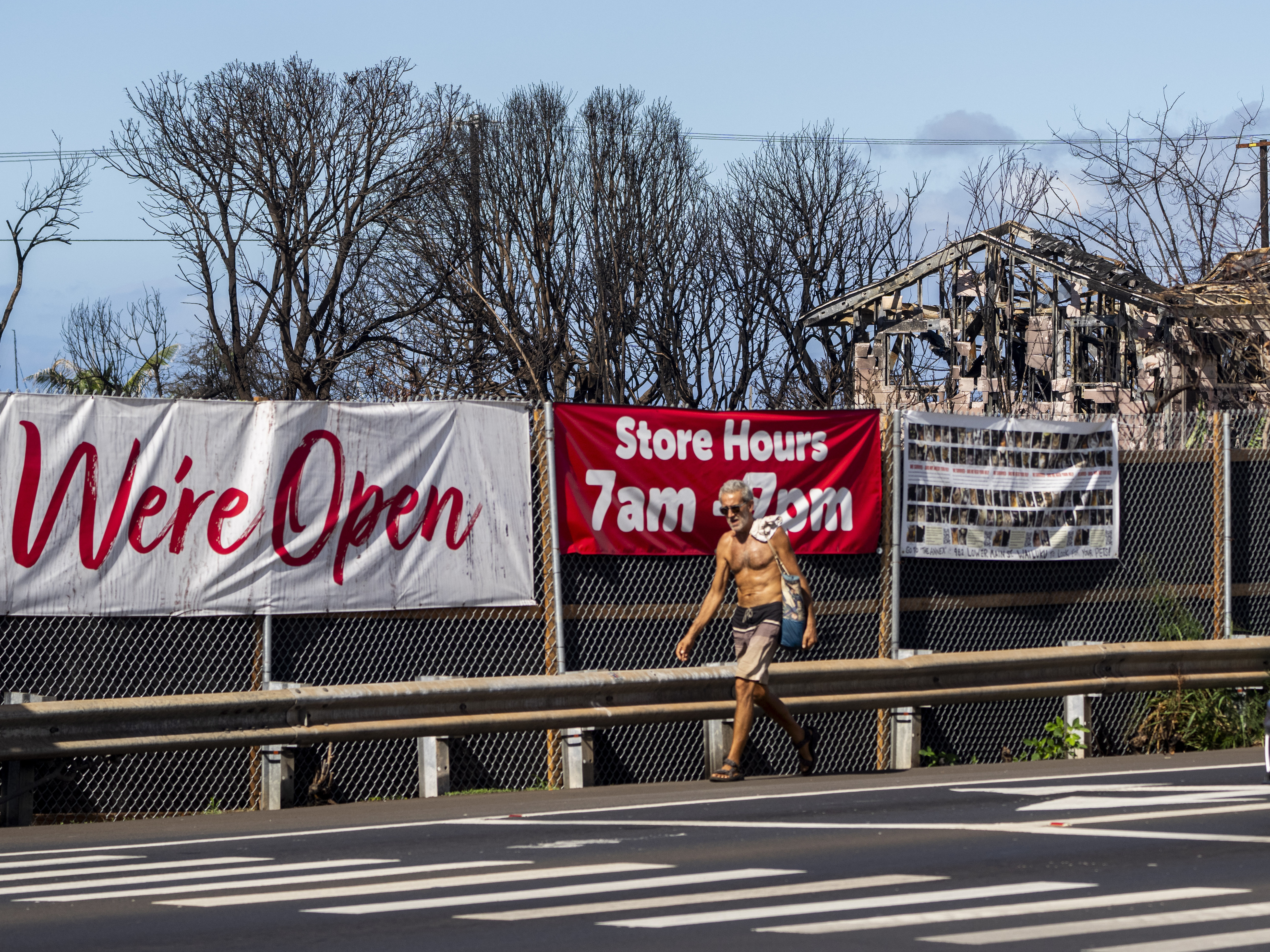 Properties destroyed by wildfire sit behind signs advertising for a nearby Safeway that survived the fire, Wednesday, Dec. 6, 2023, in Lahaina, Hawaii.