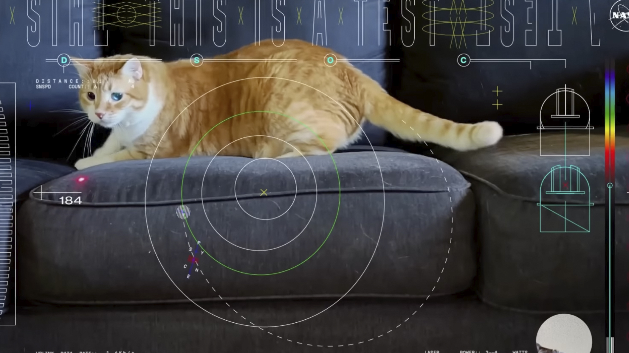 This cat video is out of this world, and NASA used a laser to beam it